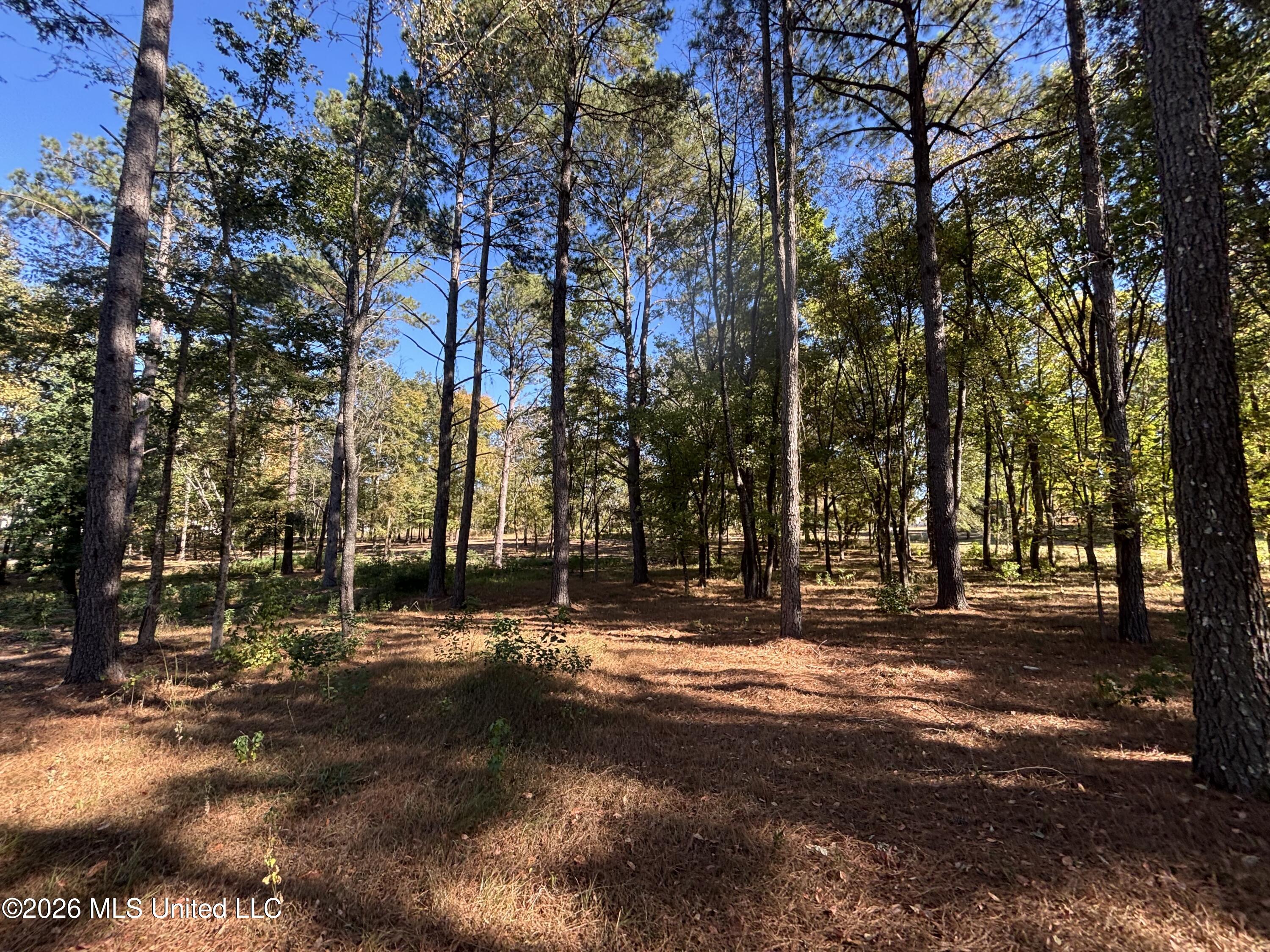 Rolling Meadows Property Photo 9