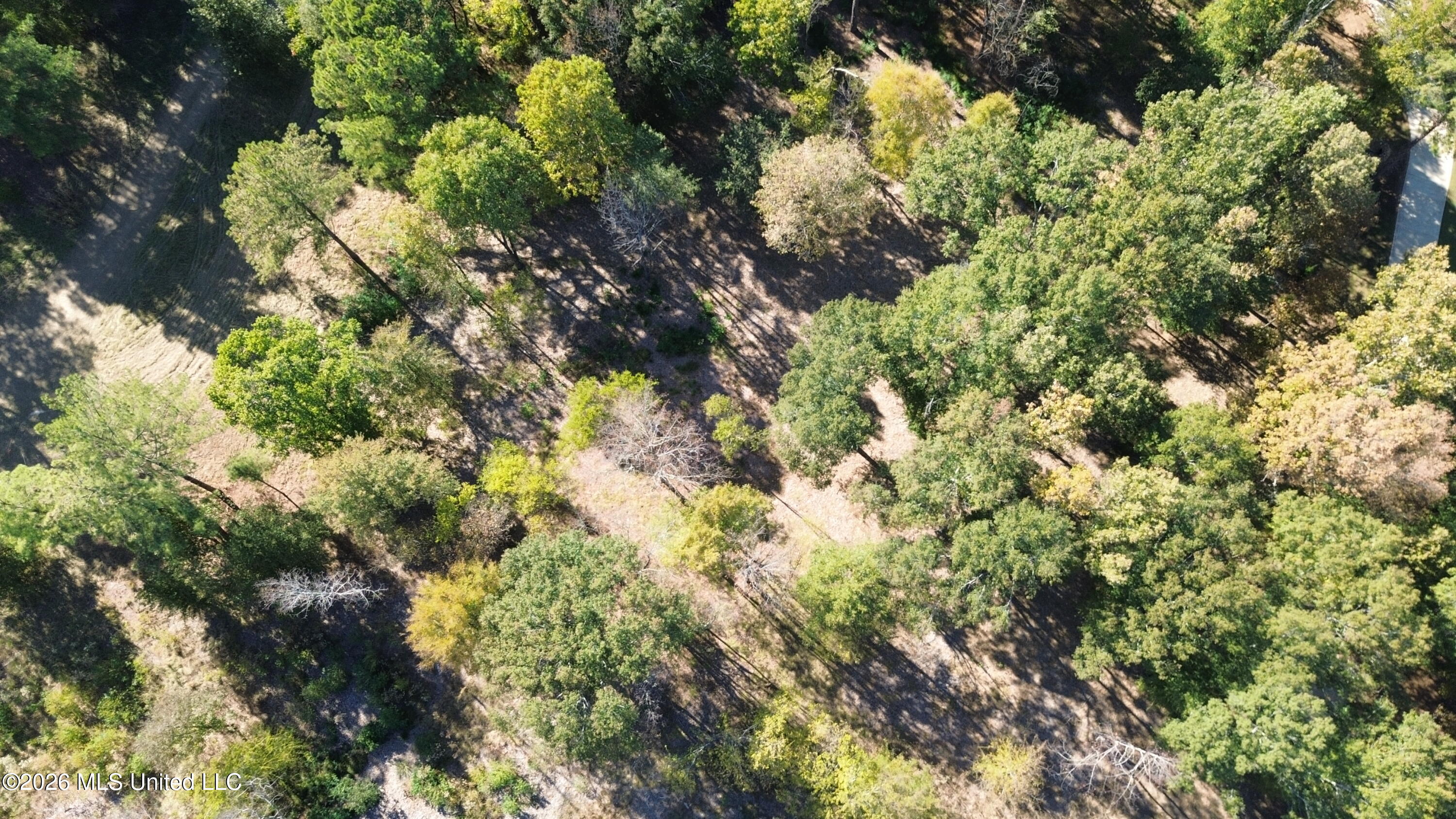 Rolling Meadows Property Photo 11