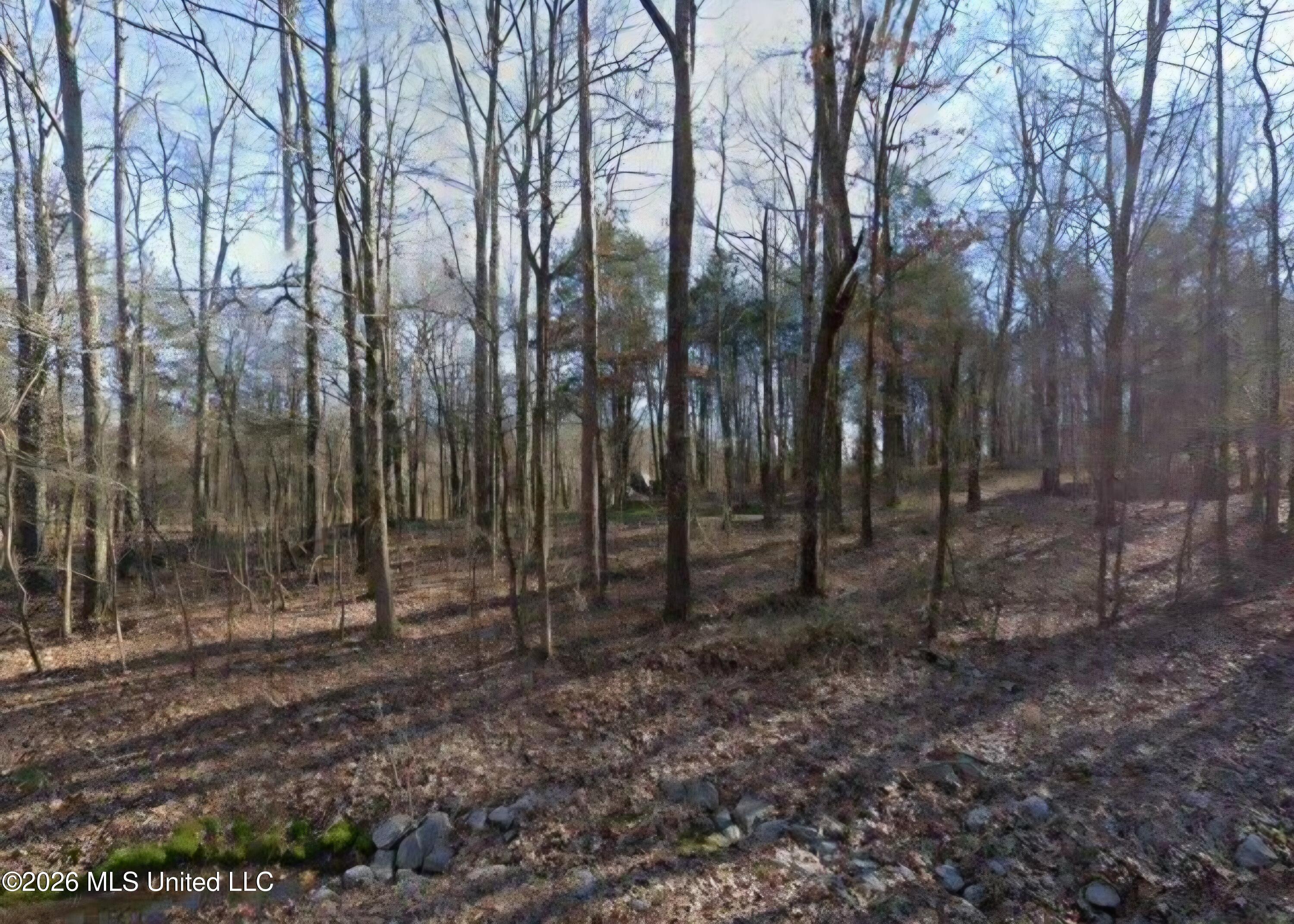 0 Farley Road Property Photo 2
