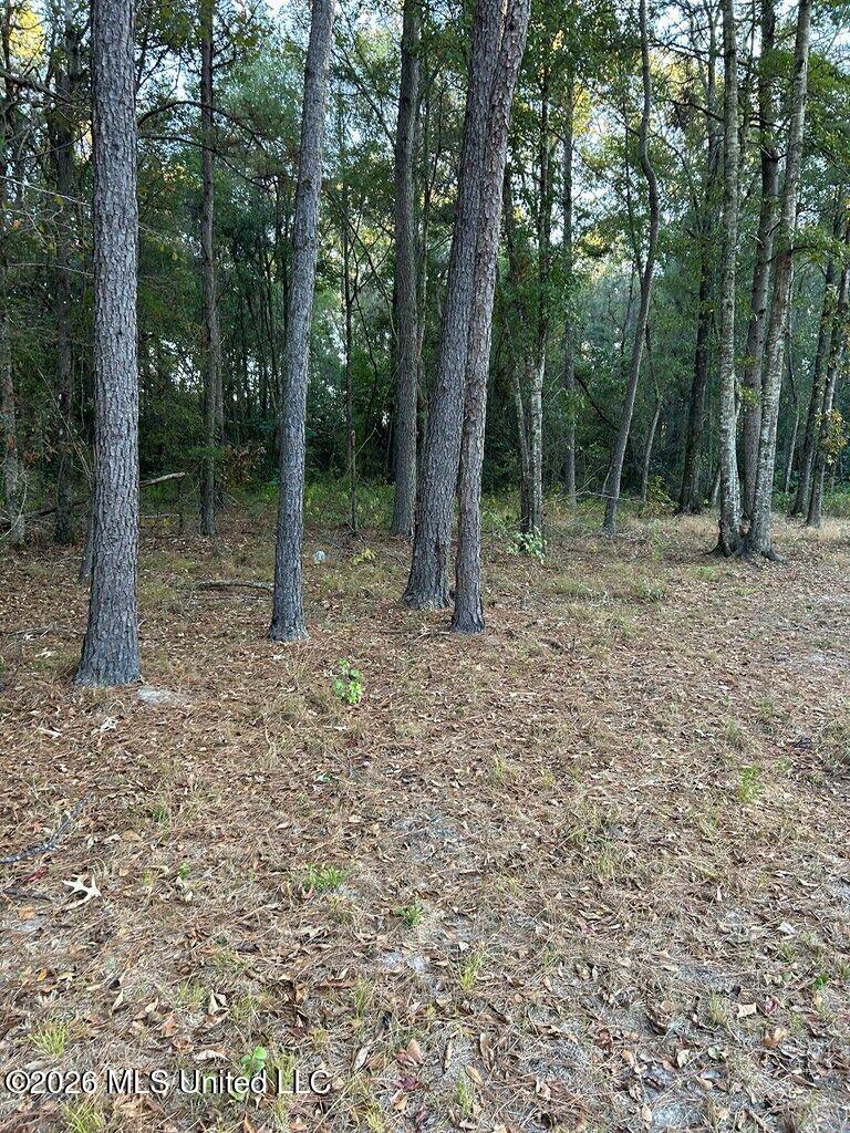 Nhn Hammock Road Property Photo 2