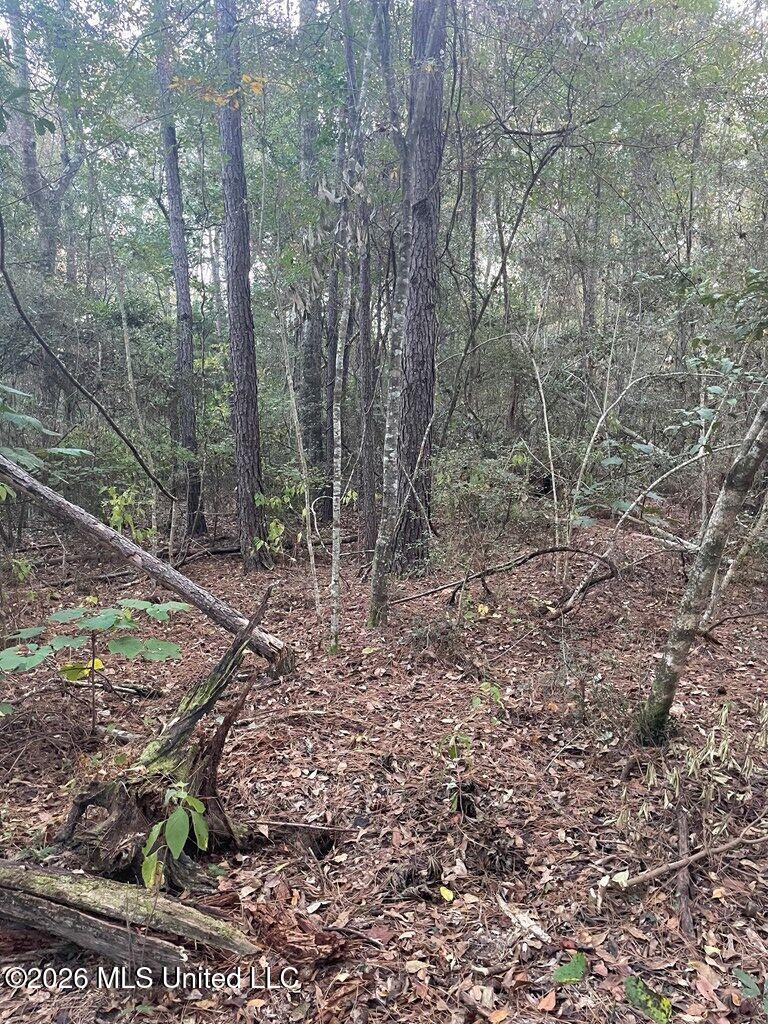 Nhn Hammock Road Property Photo 3