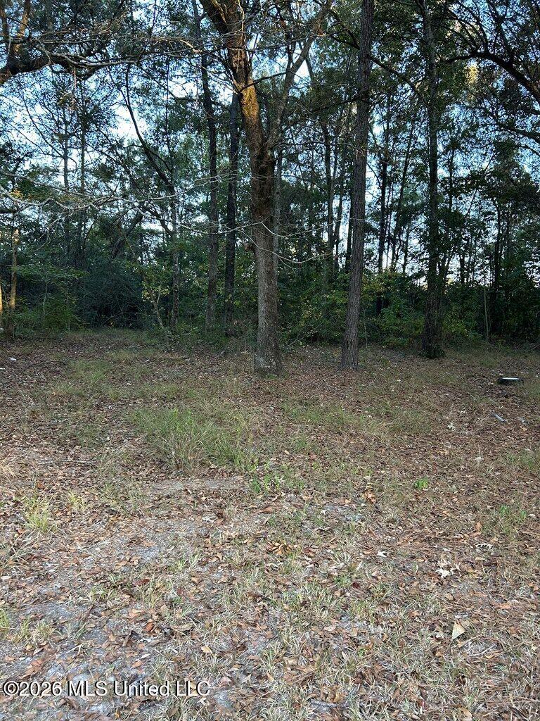 Nhn Hammock Road Property Photo 4