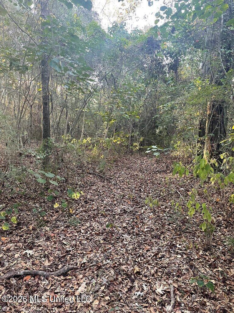 Nhn Hammock Road Property Photo 5