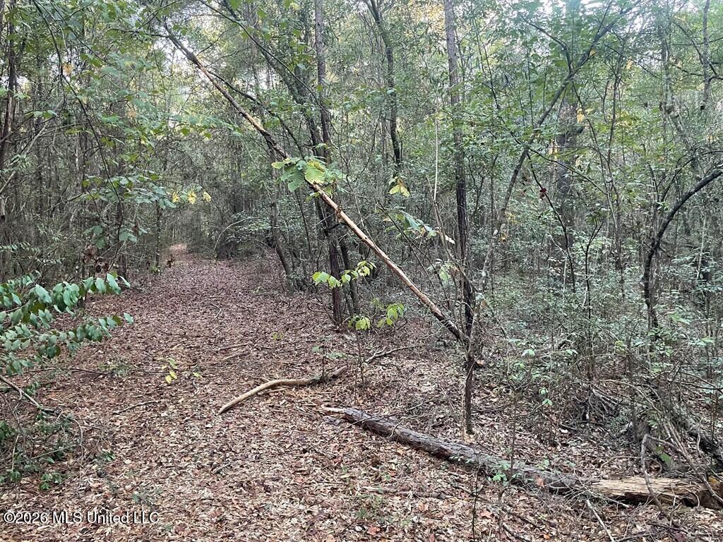 Nhn Hammock Road Property Photo 6