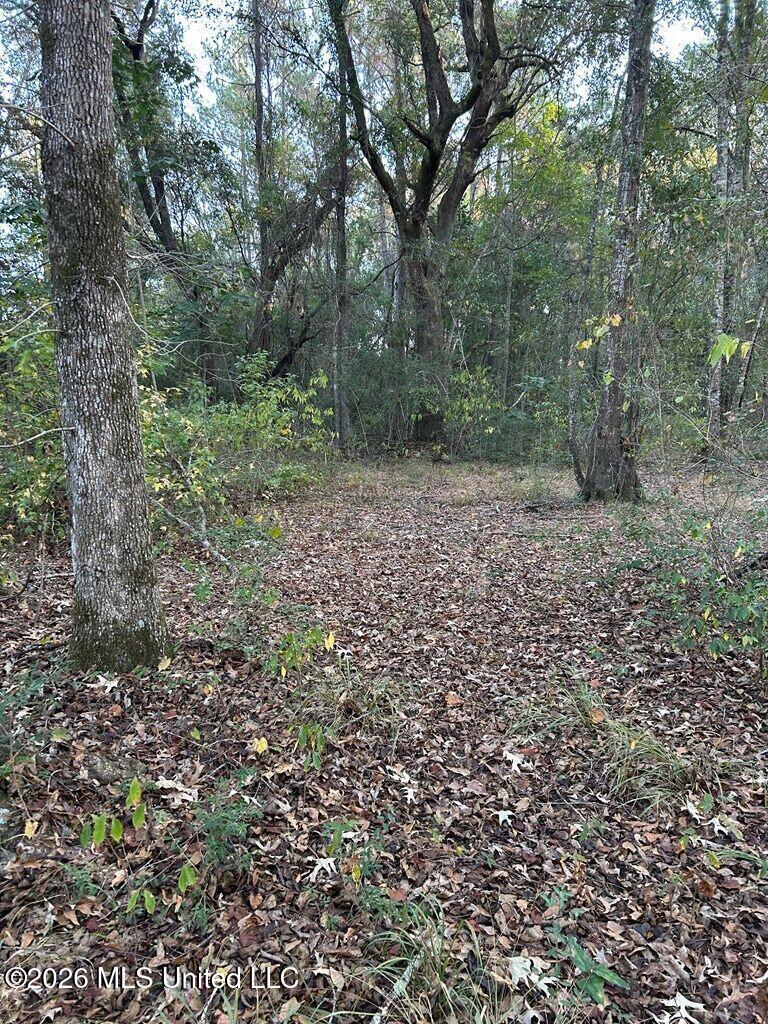 Nhn Hammock Road Property Photo 7