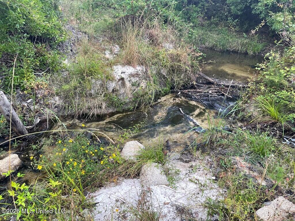 Nhn Hammock Road Property Photo 9