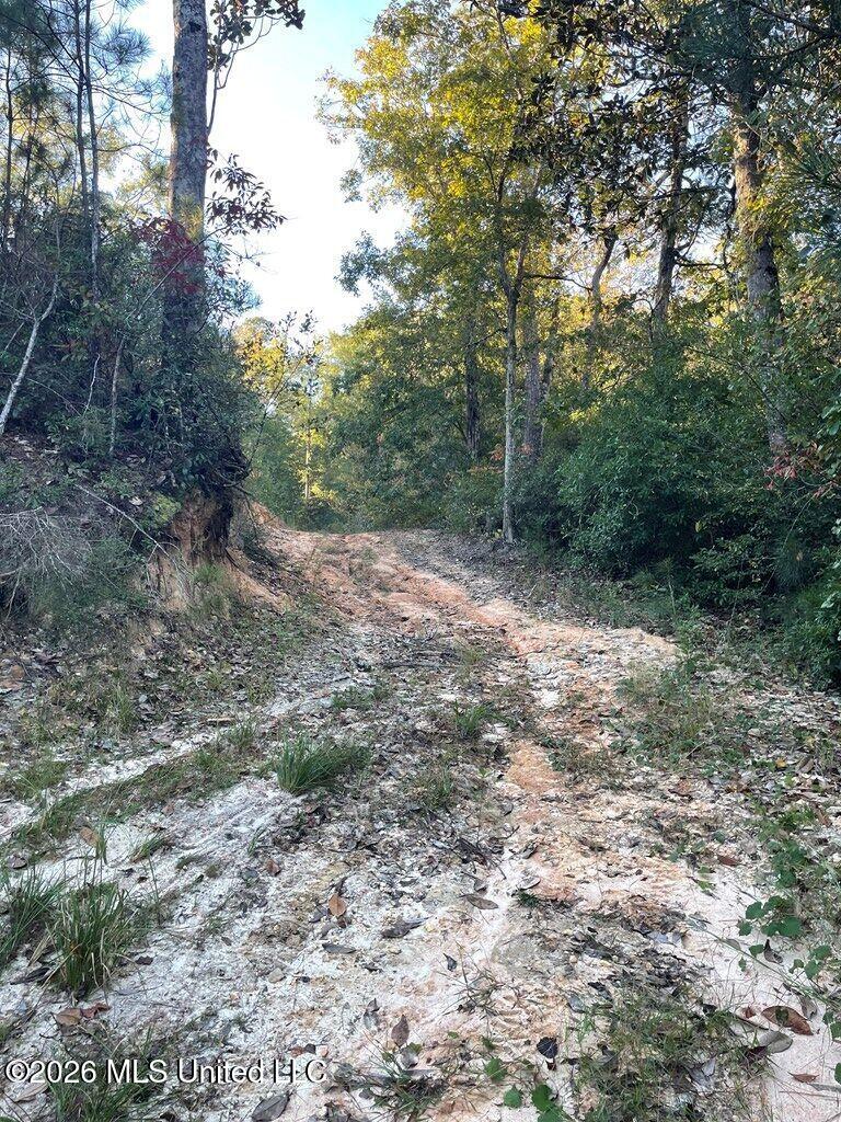 Nhn Hammock Road Property Photo 10