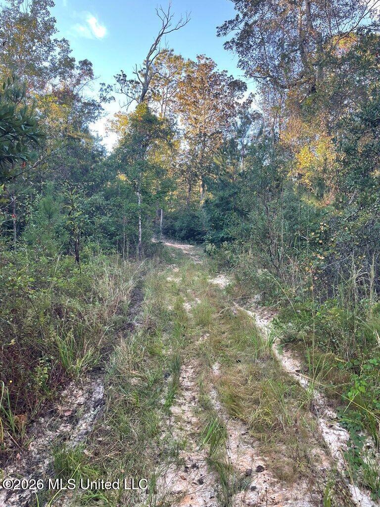 Nhn Hammock Road Property Photo 11