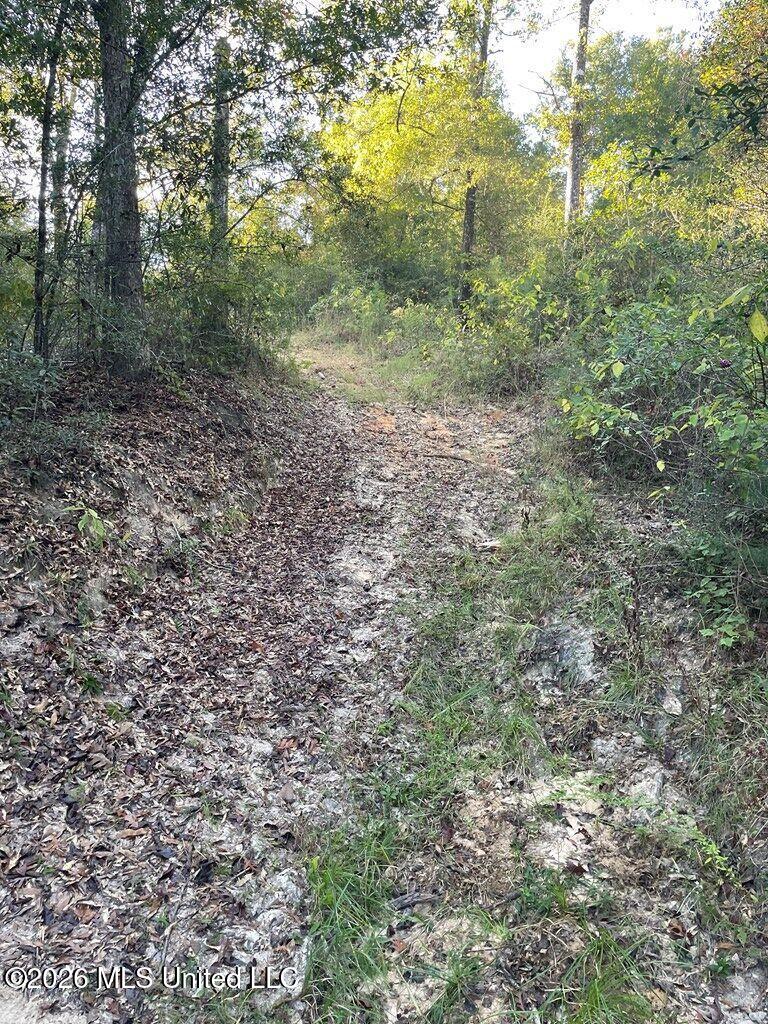 Nhn Hammock Road Property Photo 12