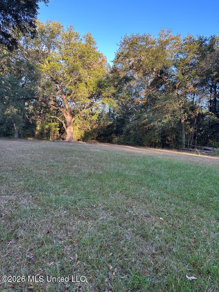 Nhn Hammock Road Property Photo 13