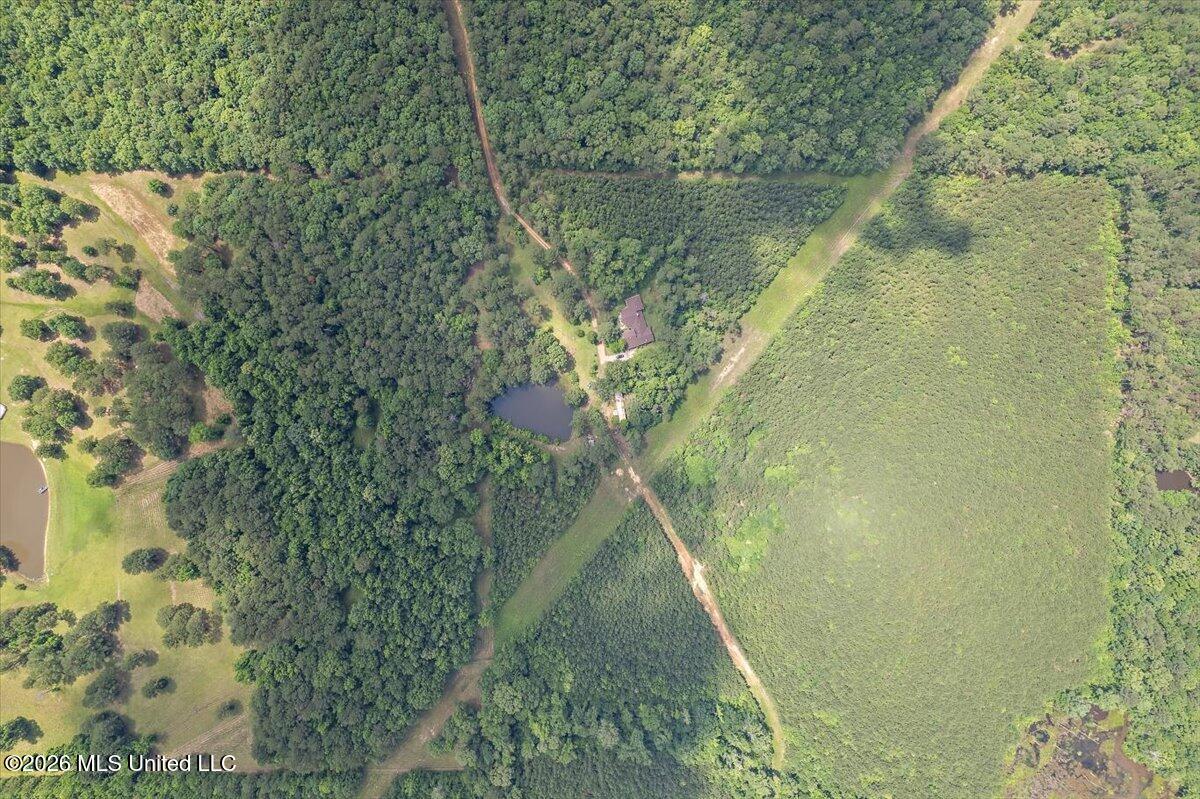 4655 Ms-43 Property Photo 18