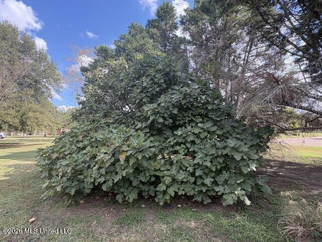 203 Shaw Cove Property Photo 6