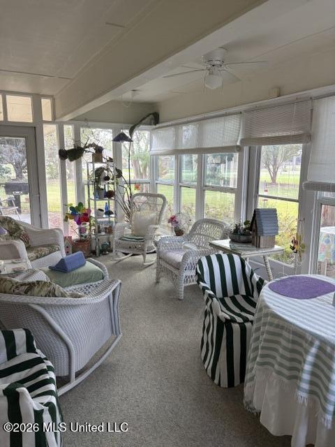 203 Shaw Cove Property Photo 20