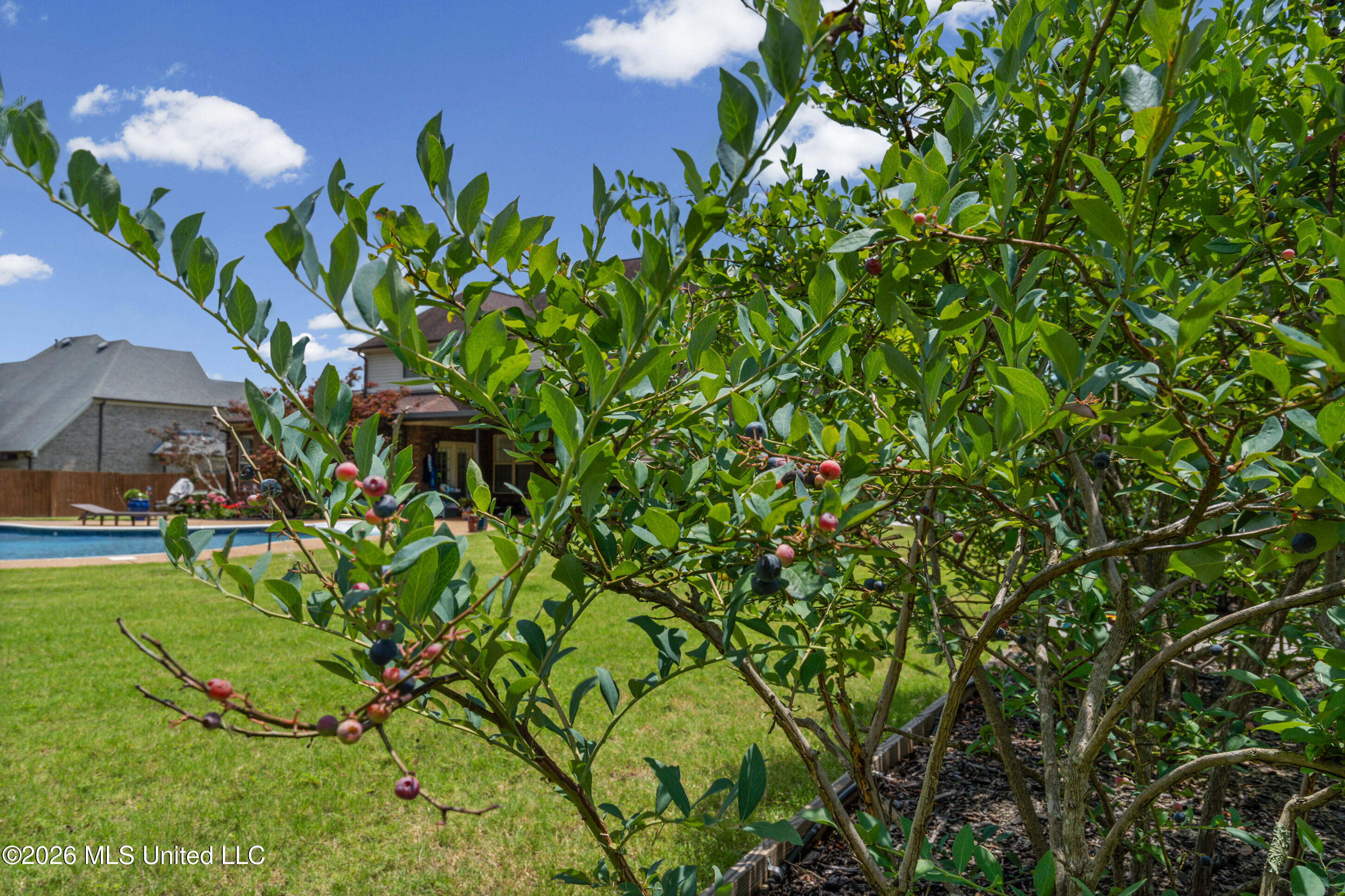 8828 Shallow Creek Drive Property Photo 53