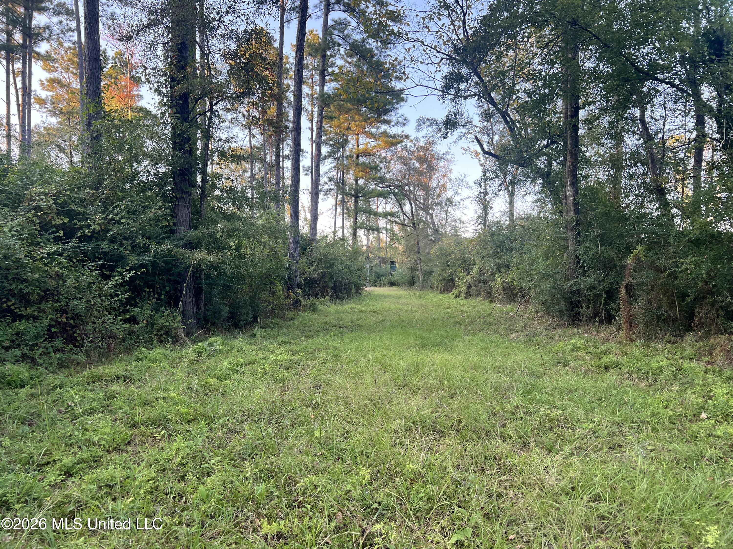 7045 A Dickey Mills Road Property Photo 9