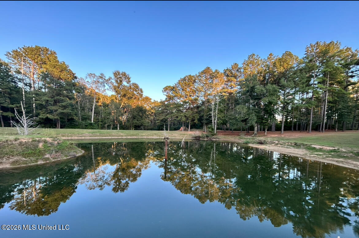 7045 A Dickey Mills Road Property Photo 12