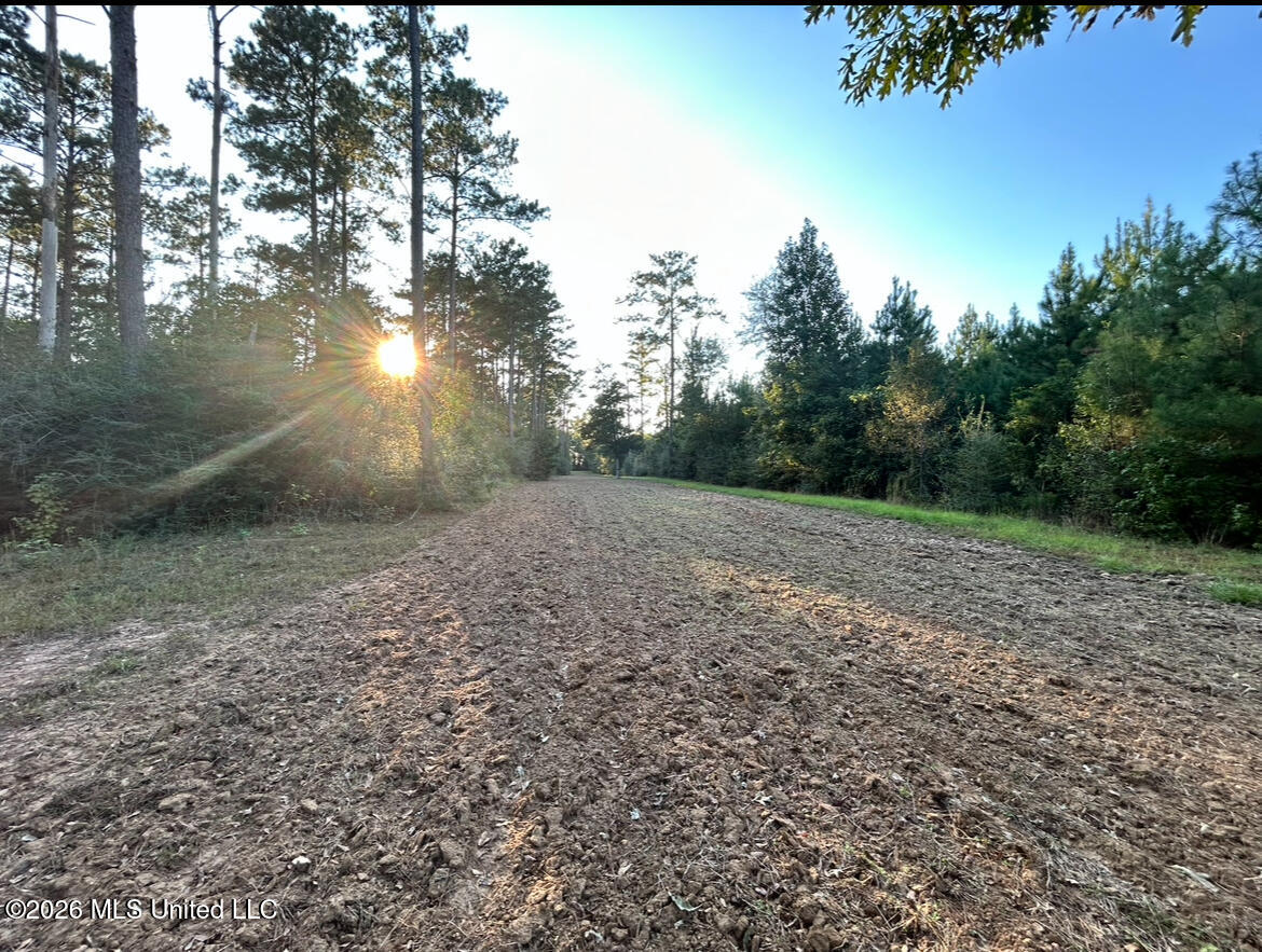 7045 A Dickey Mills Road Property Photo 19