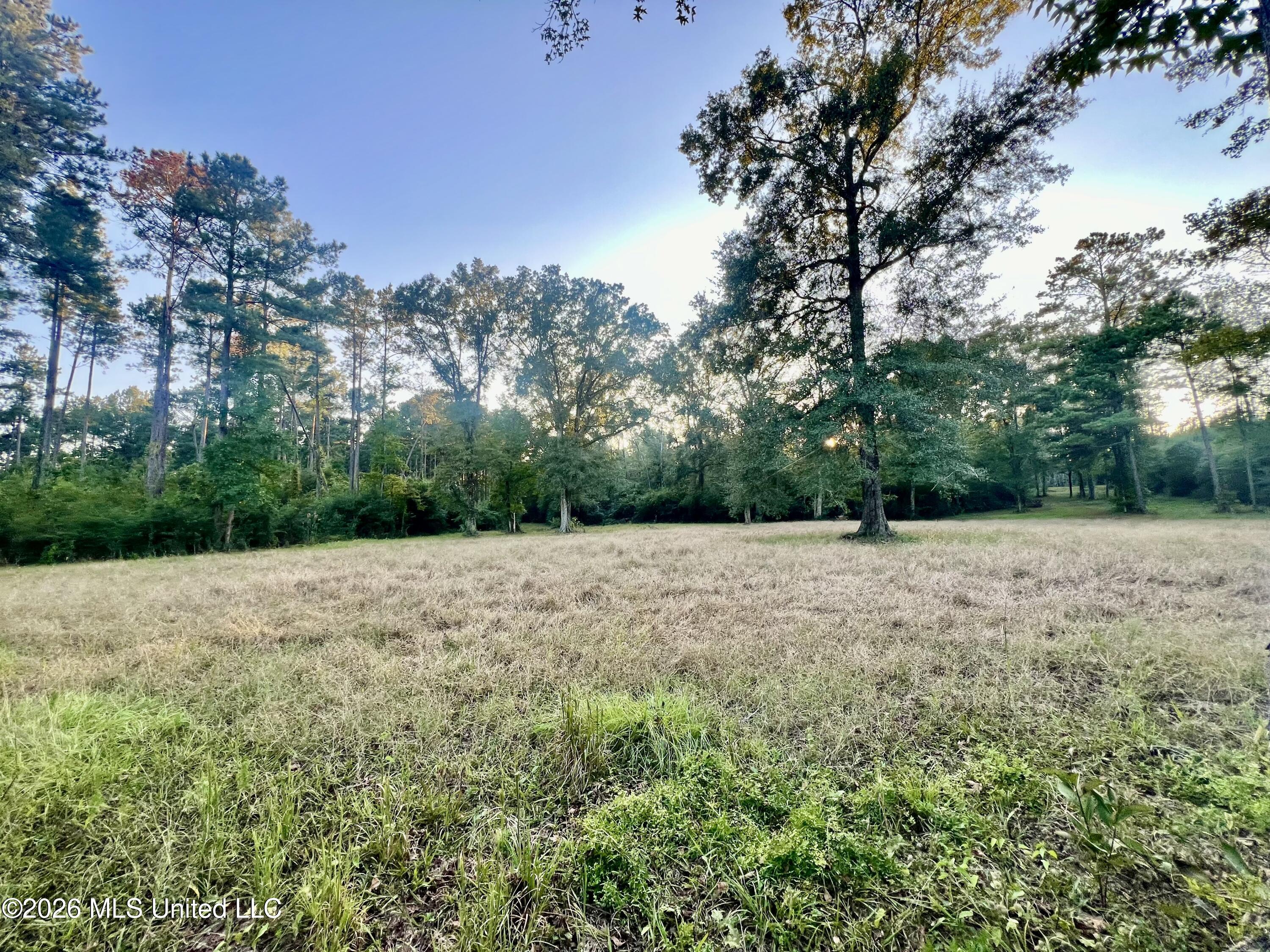 7045 A Dickey Mills Road Property Photo 23