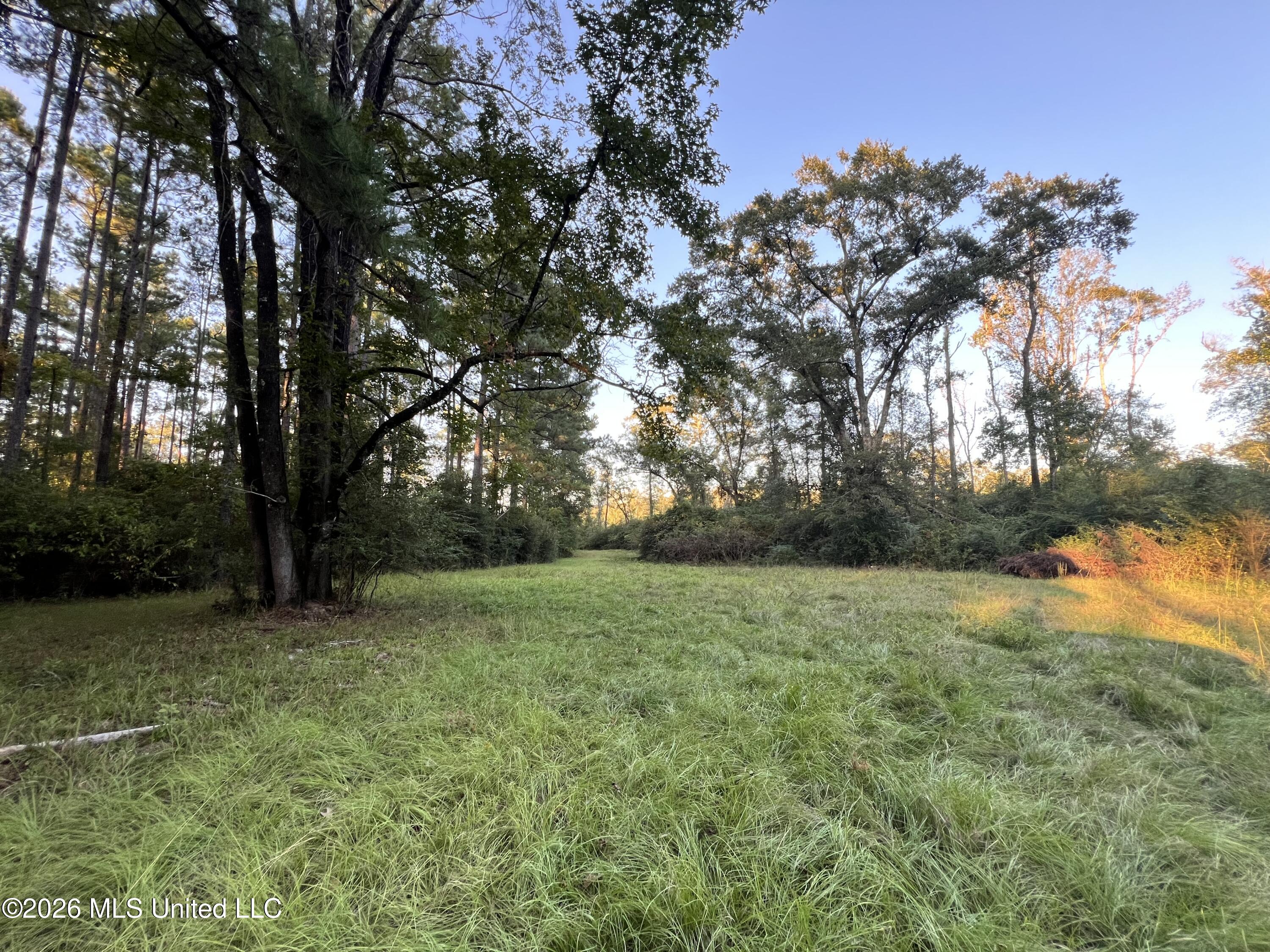 7045 A Dickey Mills Road Property Photo 24