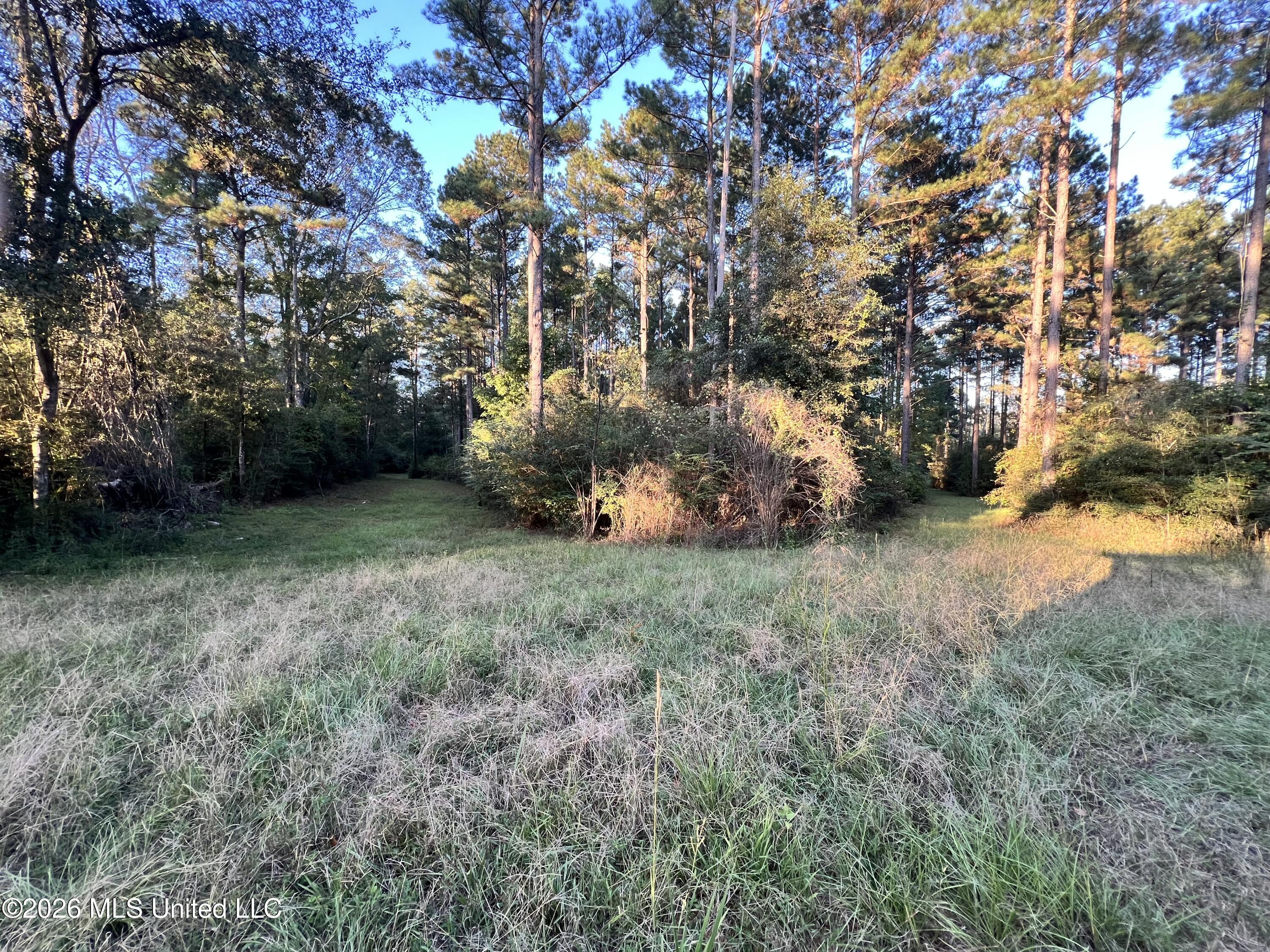 7045 A Dickey Mills Road Property Photo 25
