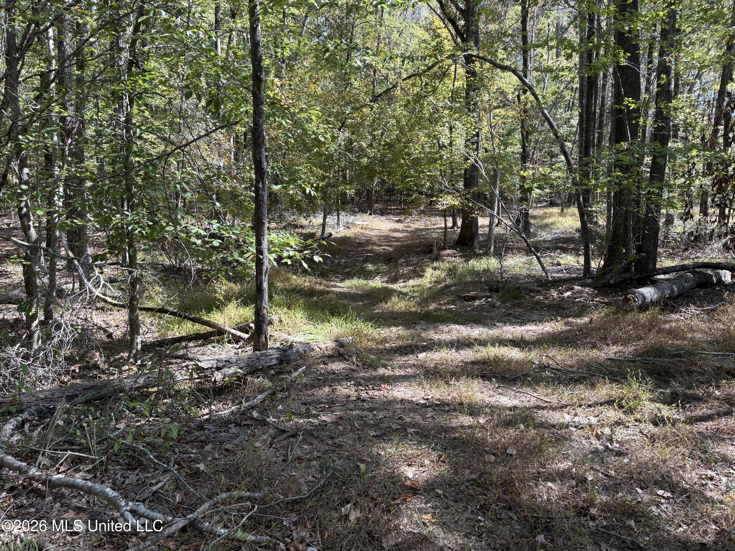 Cr 409 Property Photo 5