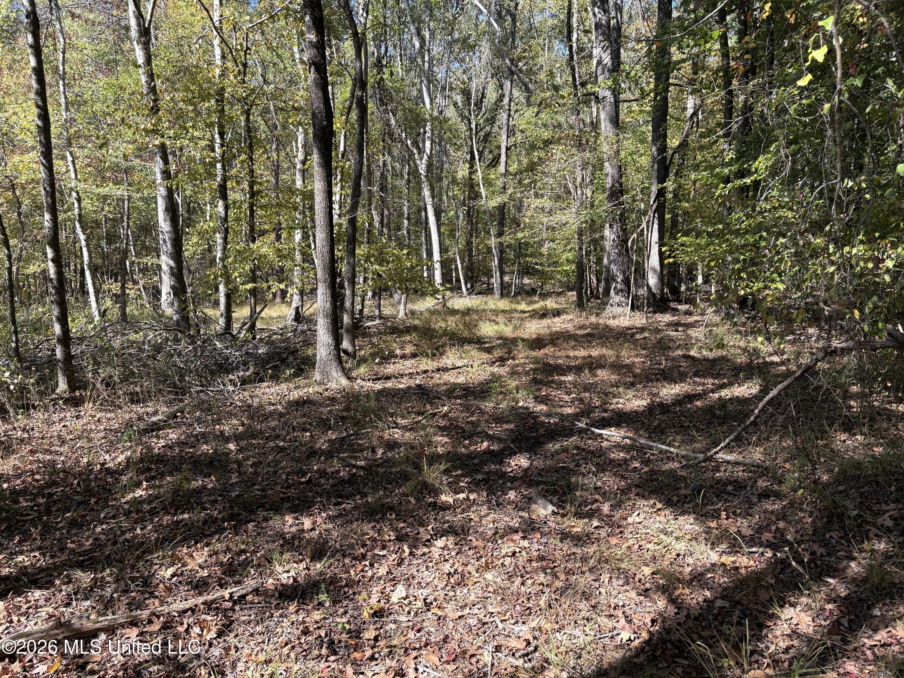 Cr 409 Property Photo 6