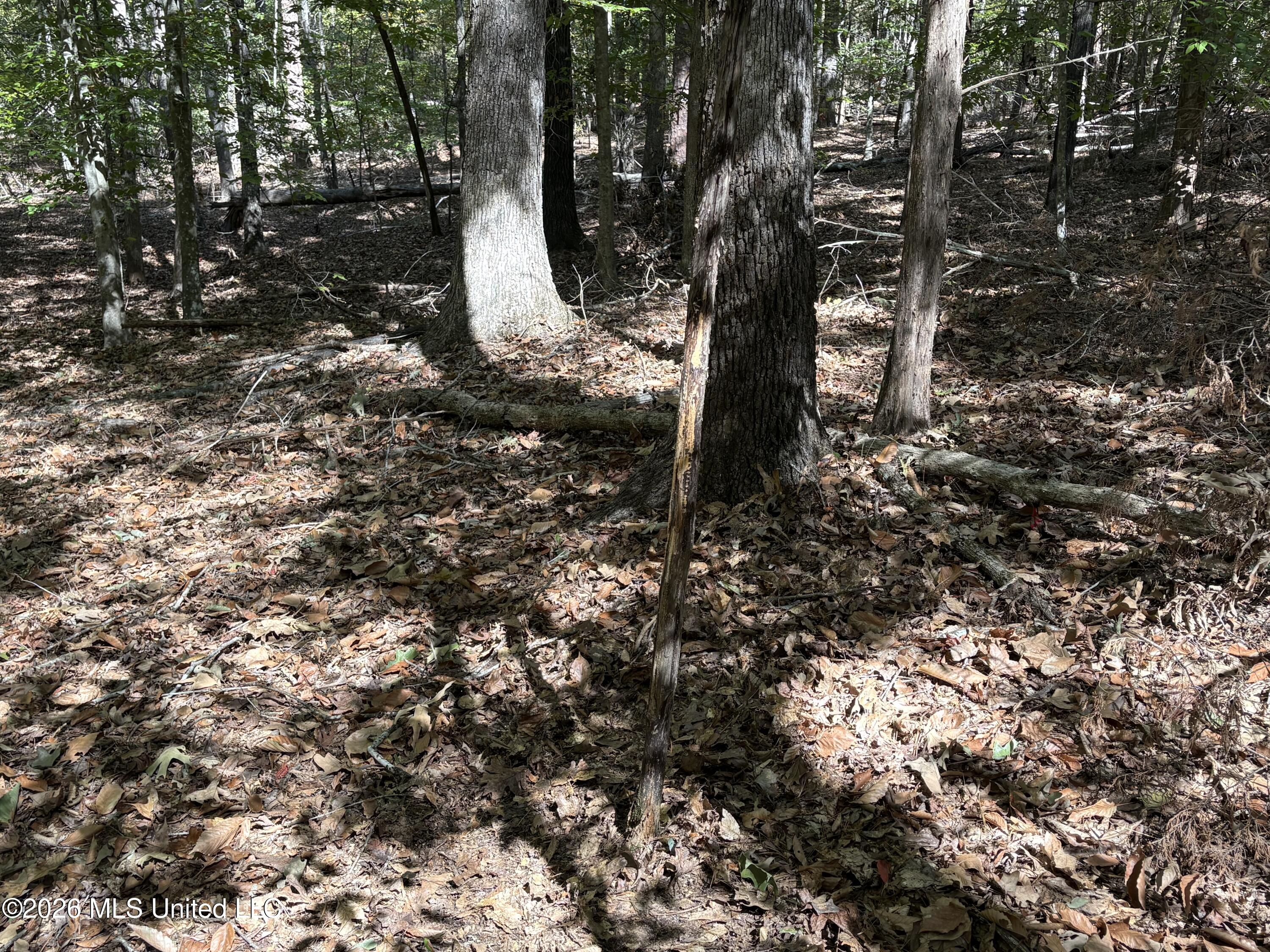 Cr 409 Property Photo 7