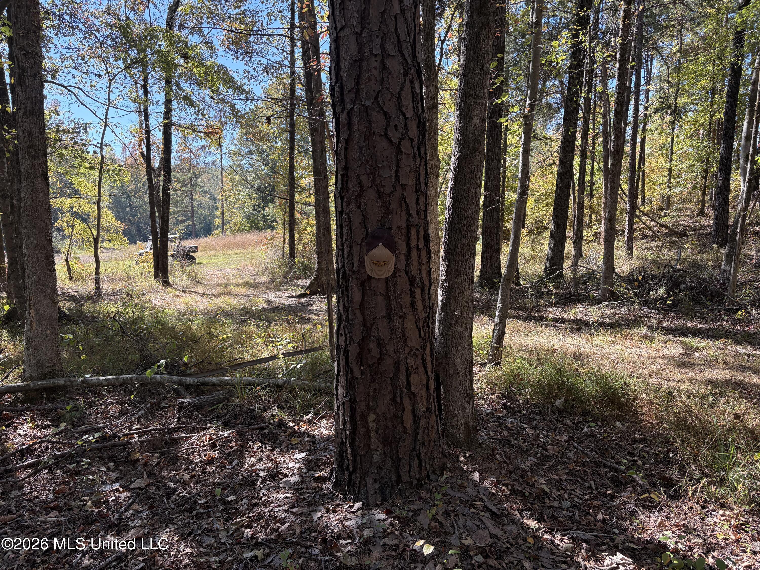 Cr 409 Property Photo 8