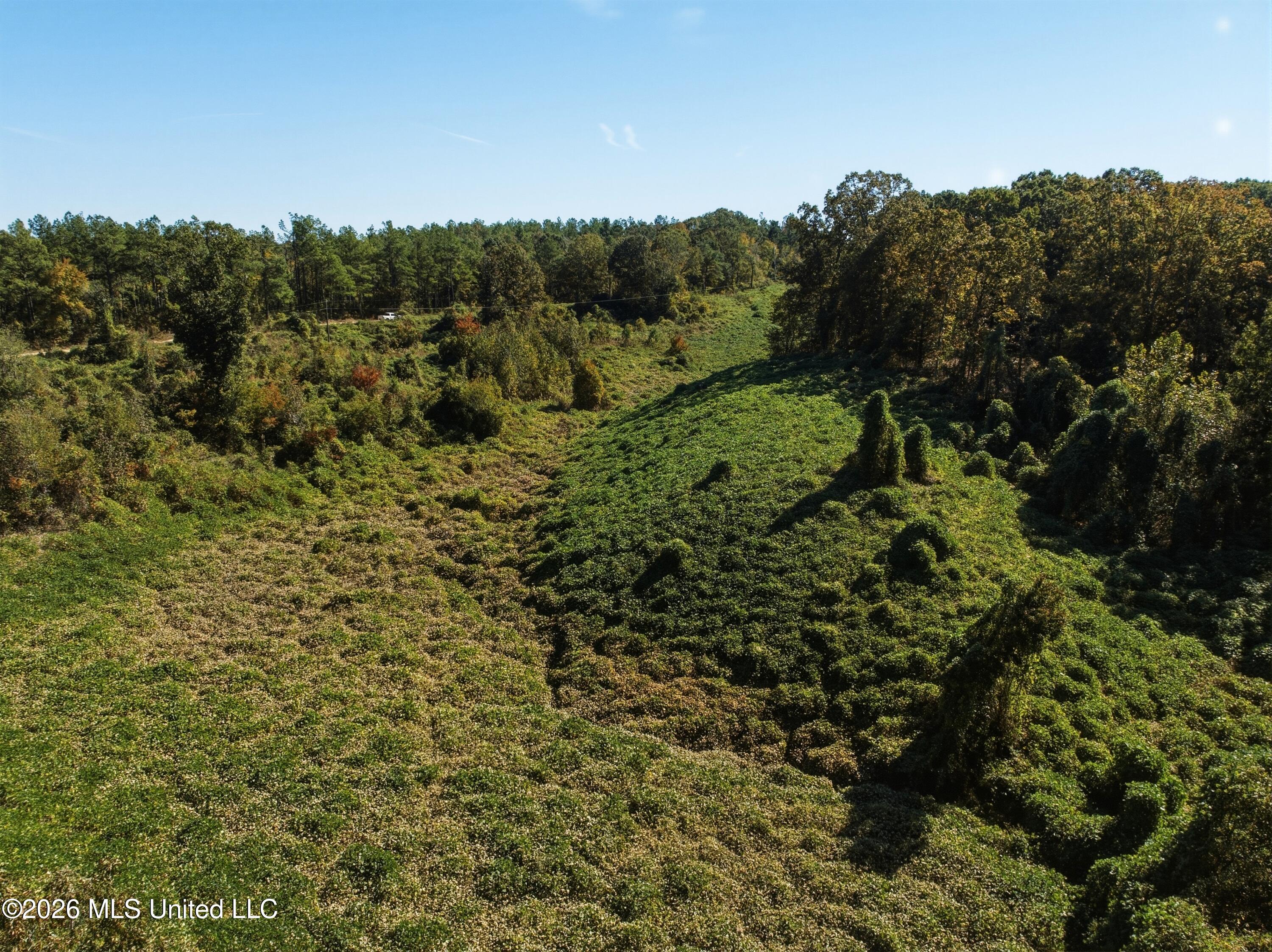 Stinson Road Property Photo 1