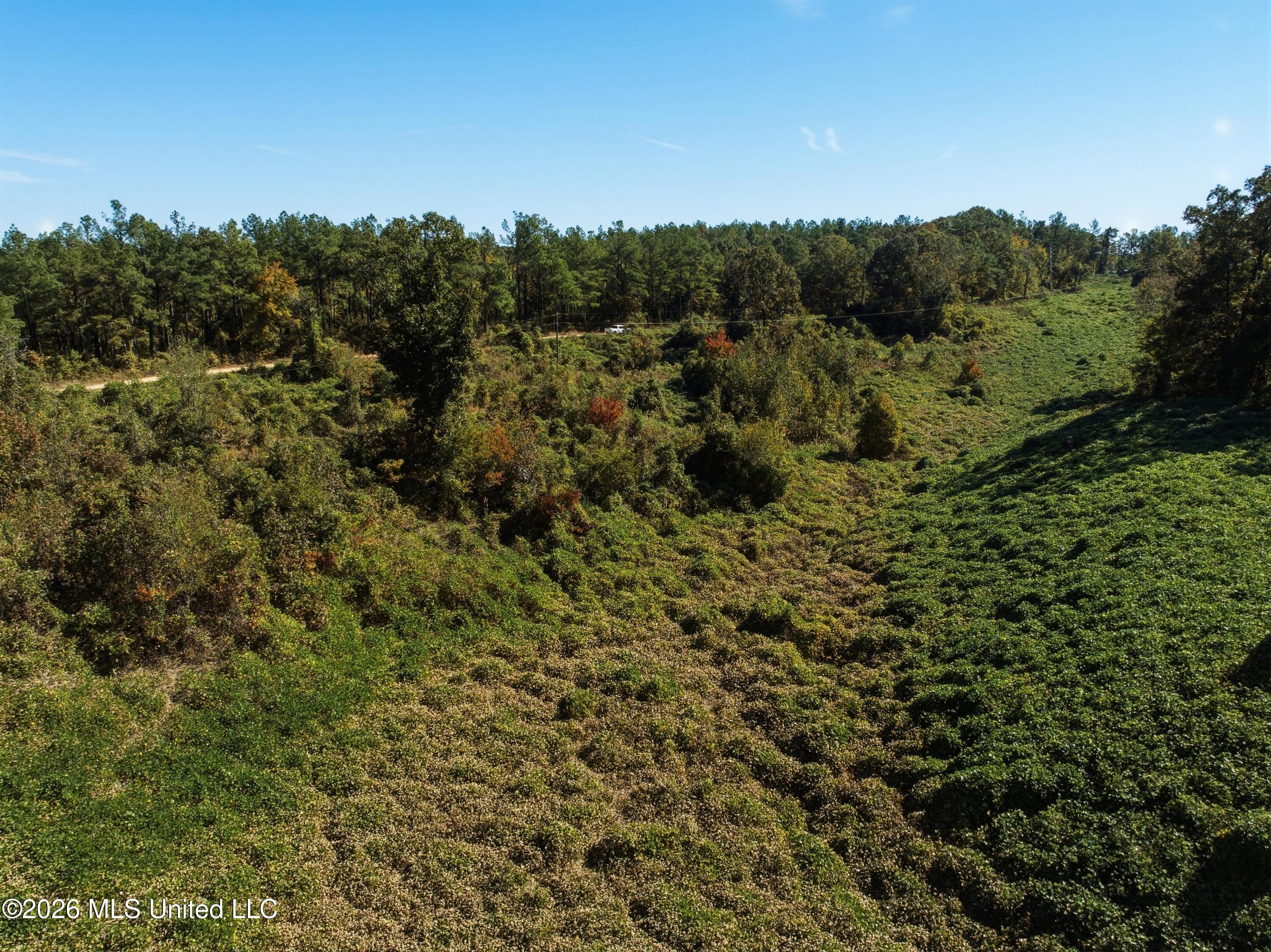 Stinson Road Property Photo 2
