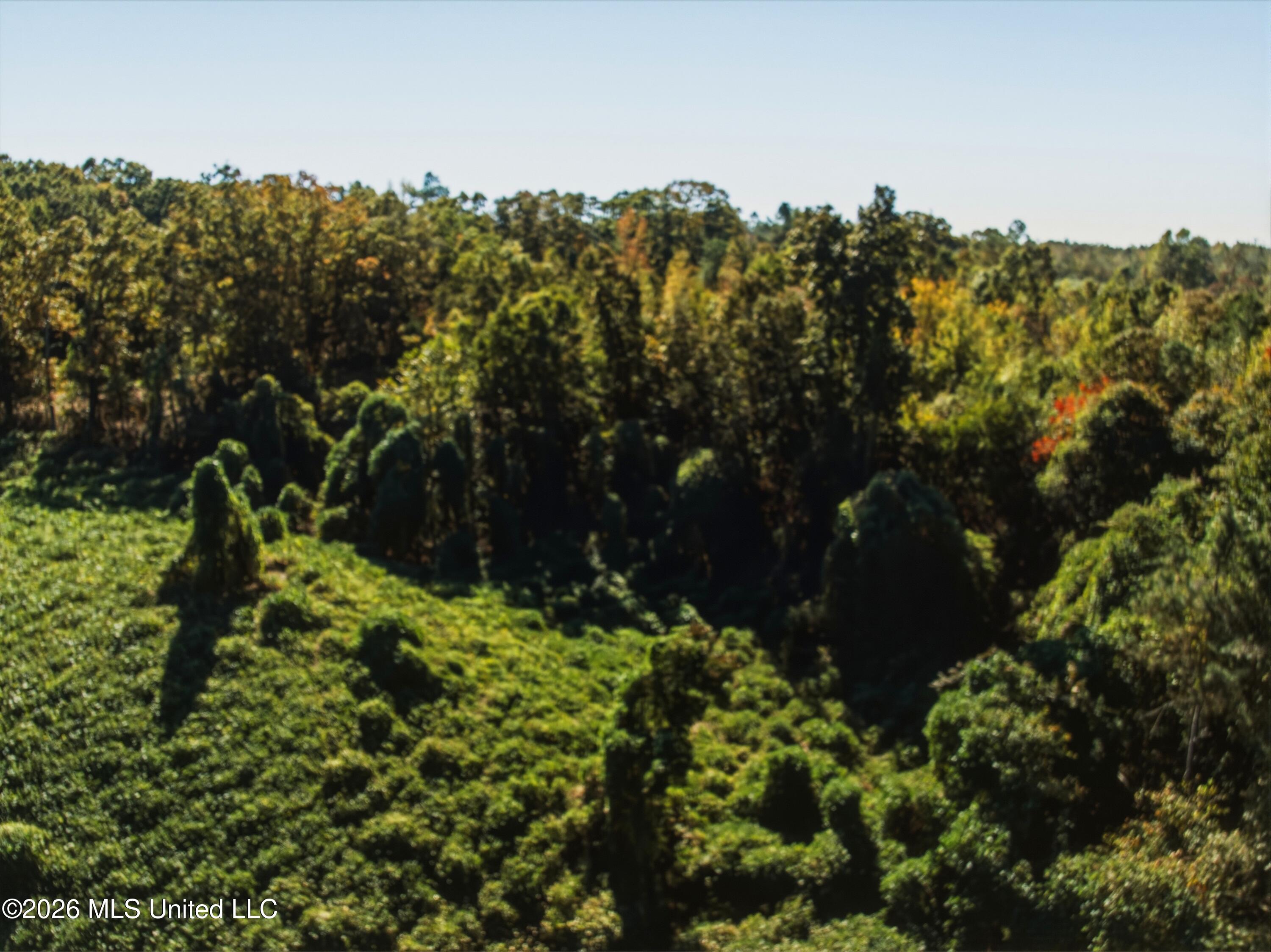 Stinson Road Property Photo 3