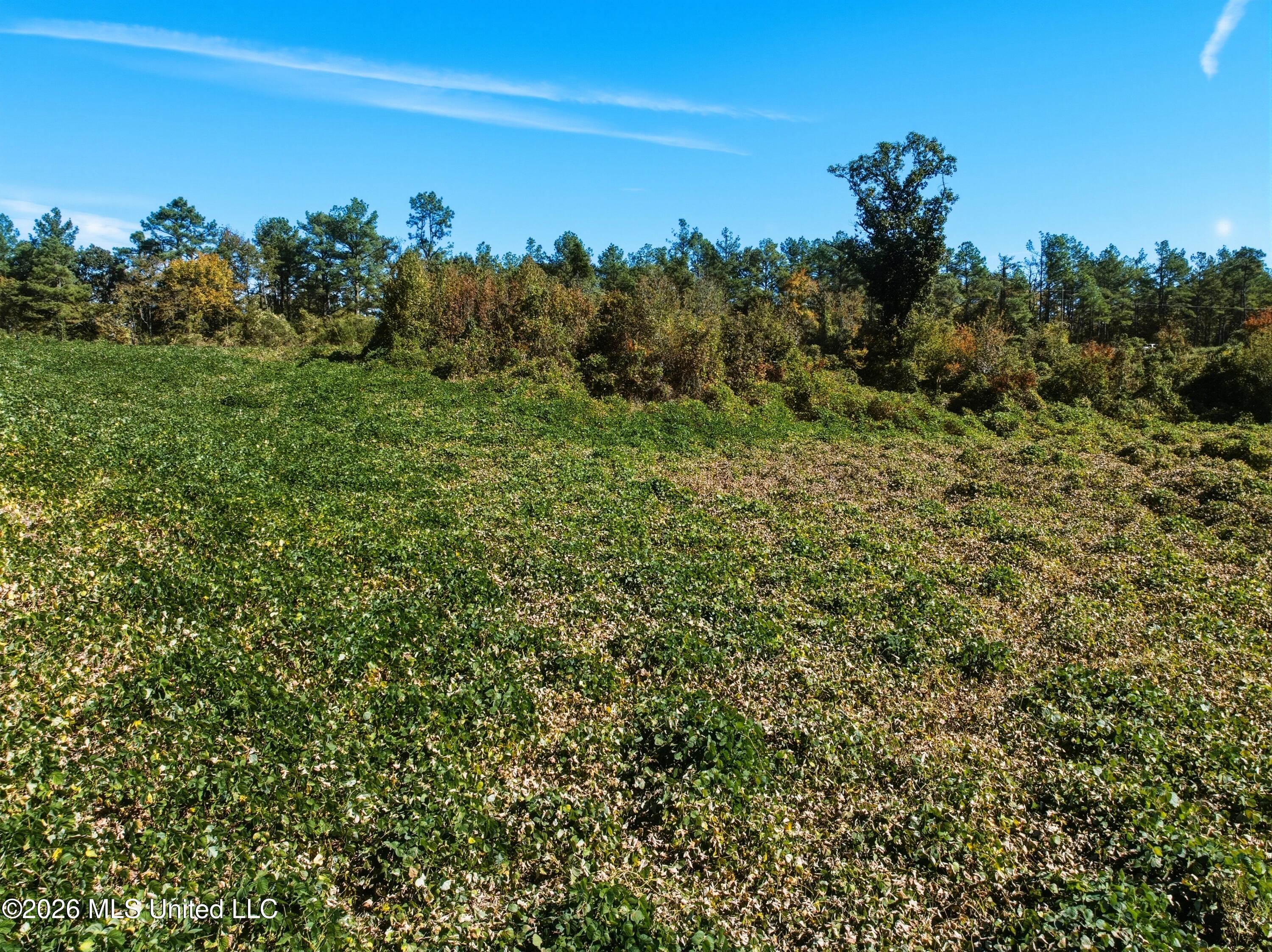 Stinson Road Property Photo 4