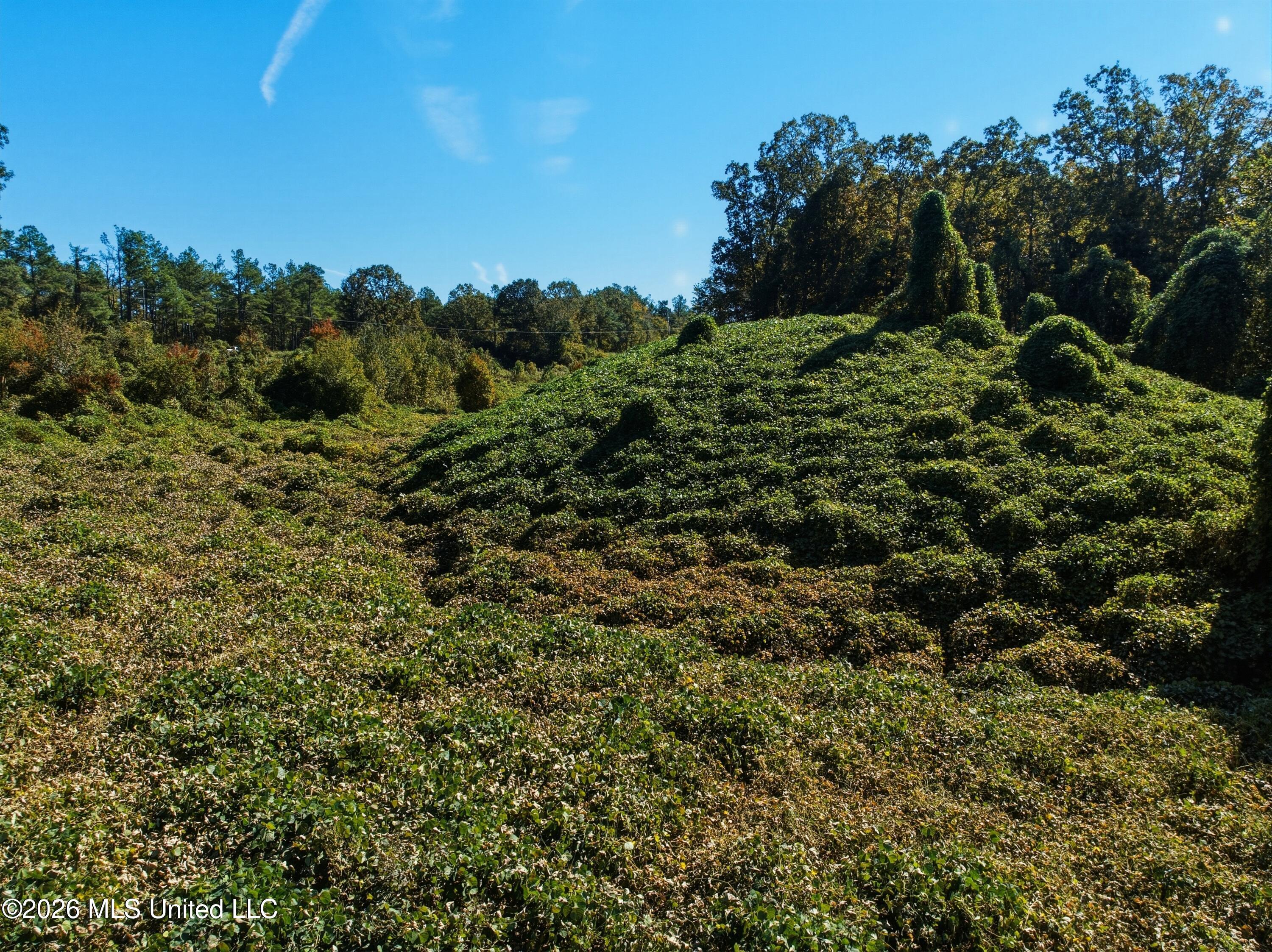 Stinson Road Property Photo 5