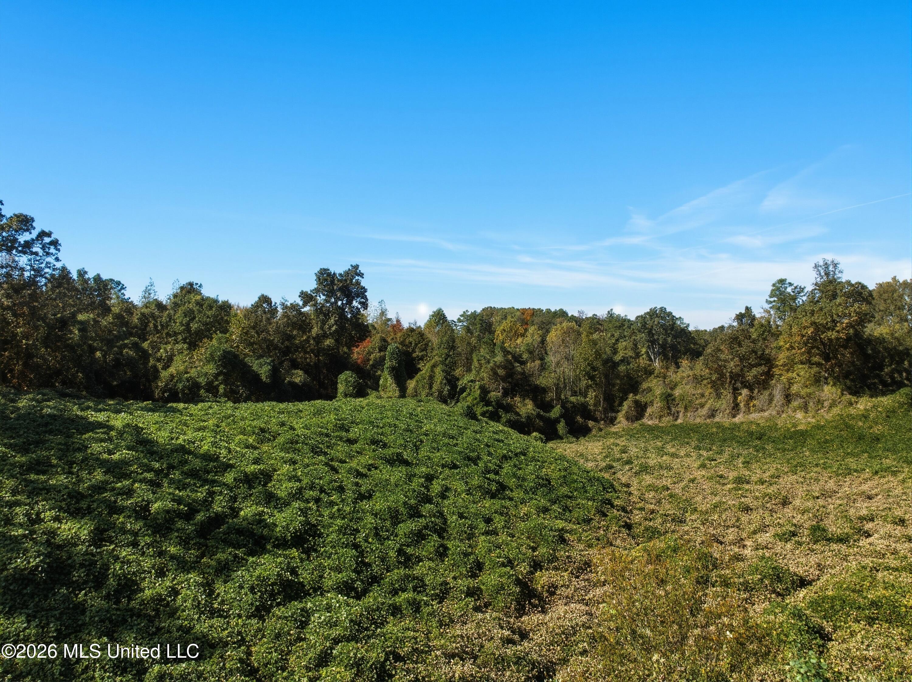 Stinson Road Property Photo 6