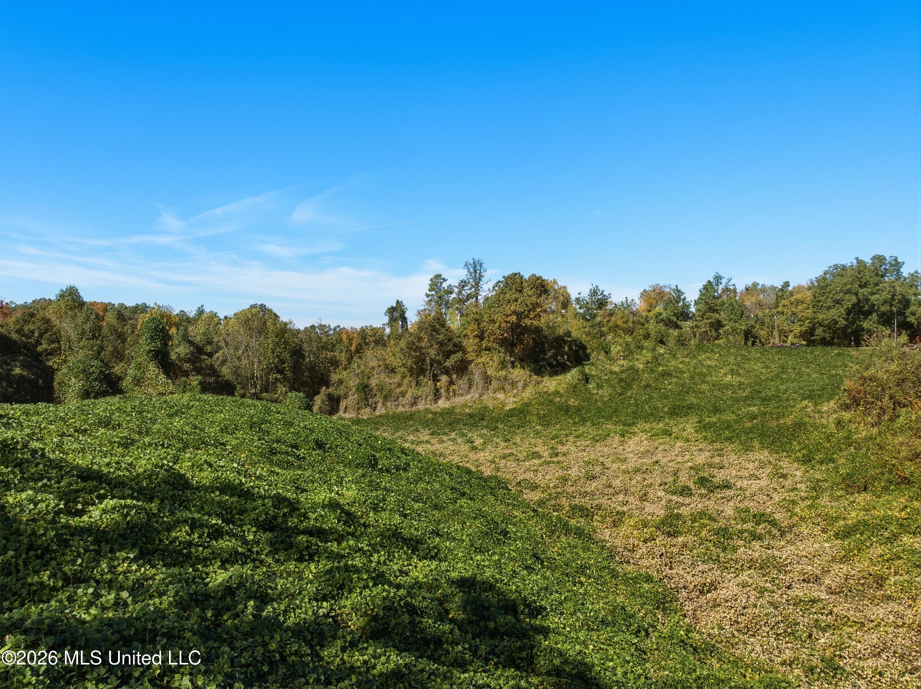Stinson Road Property Photo 7