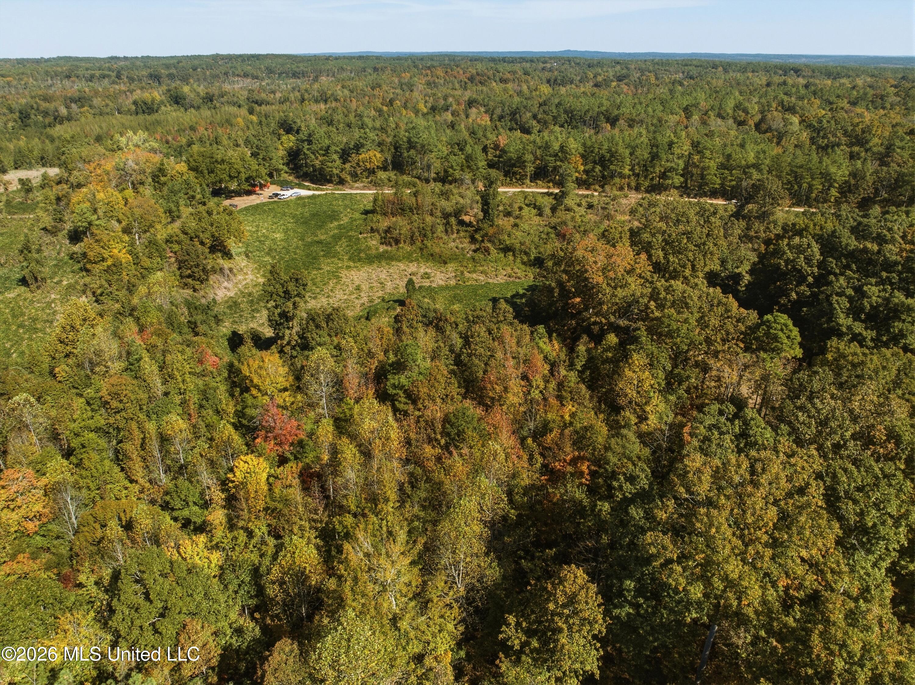 Stinson Road Property Photo 12
