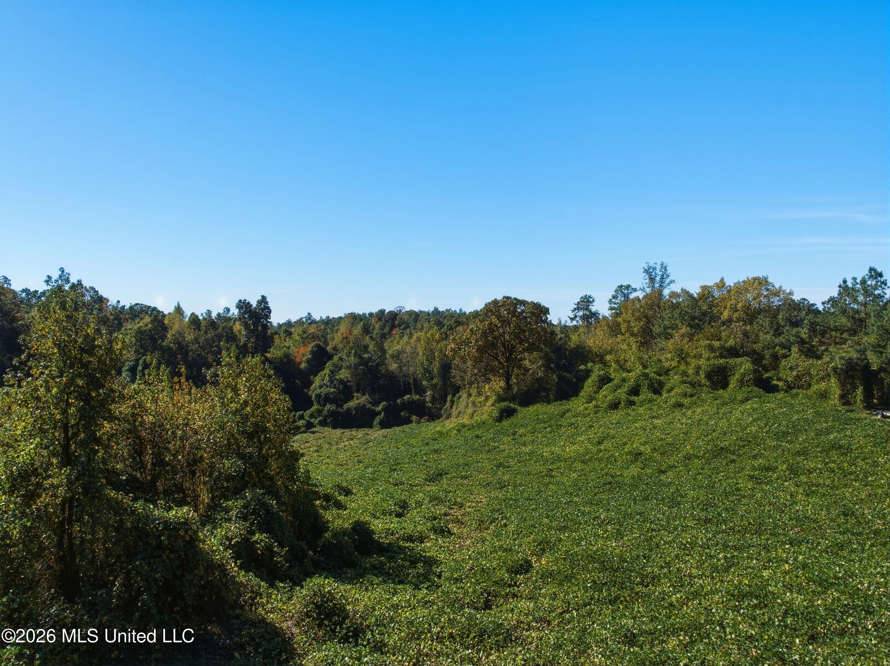 Stinson Road Property Photo 16