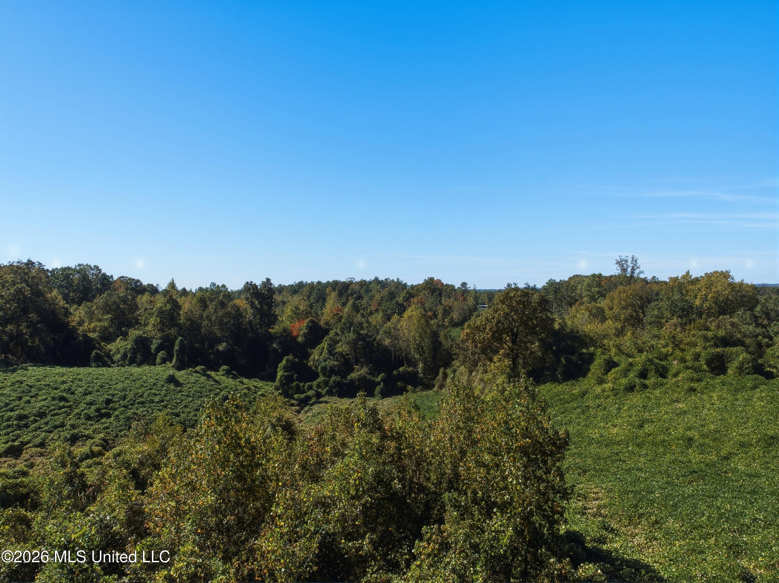 Stinson Road Property Photo 17