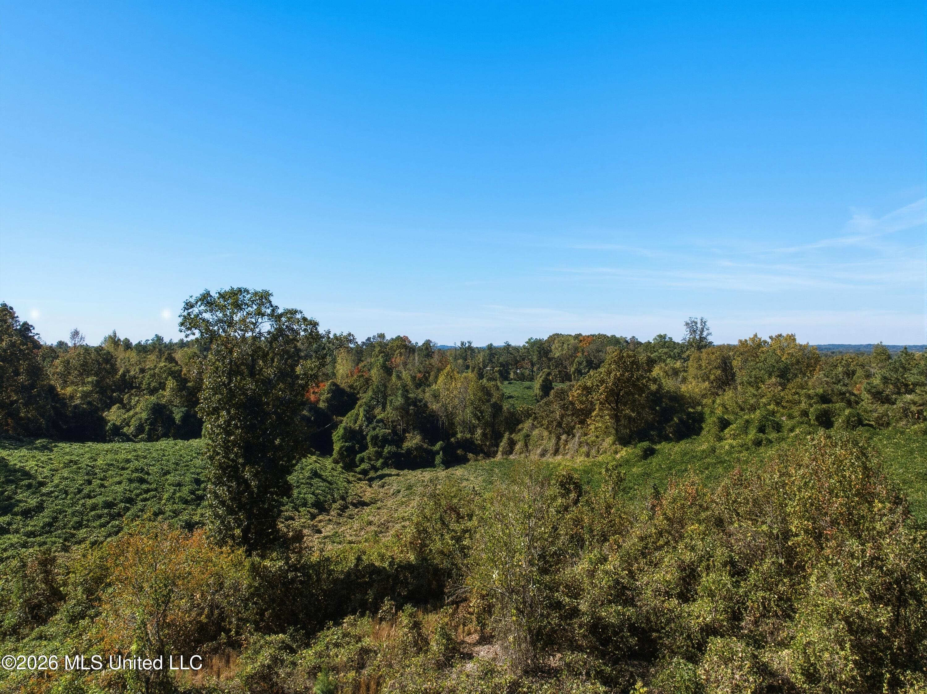 Stinson Road Property Photo 18