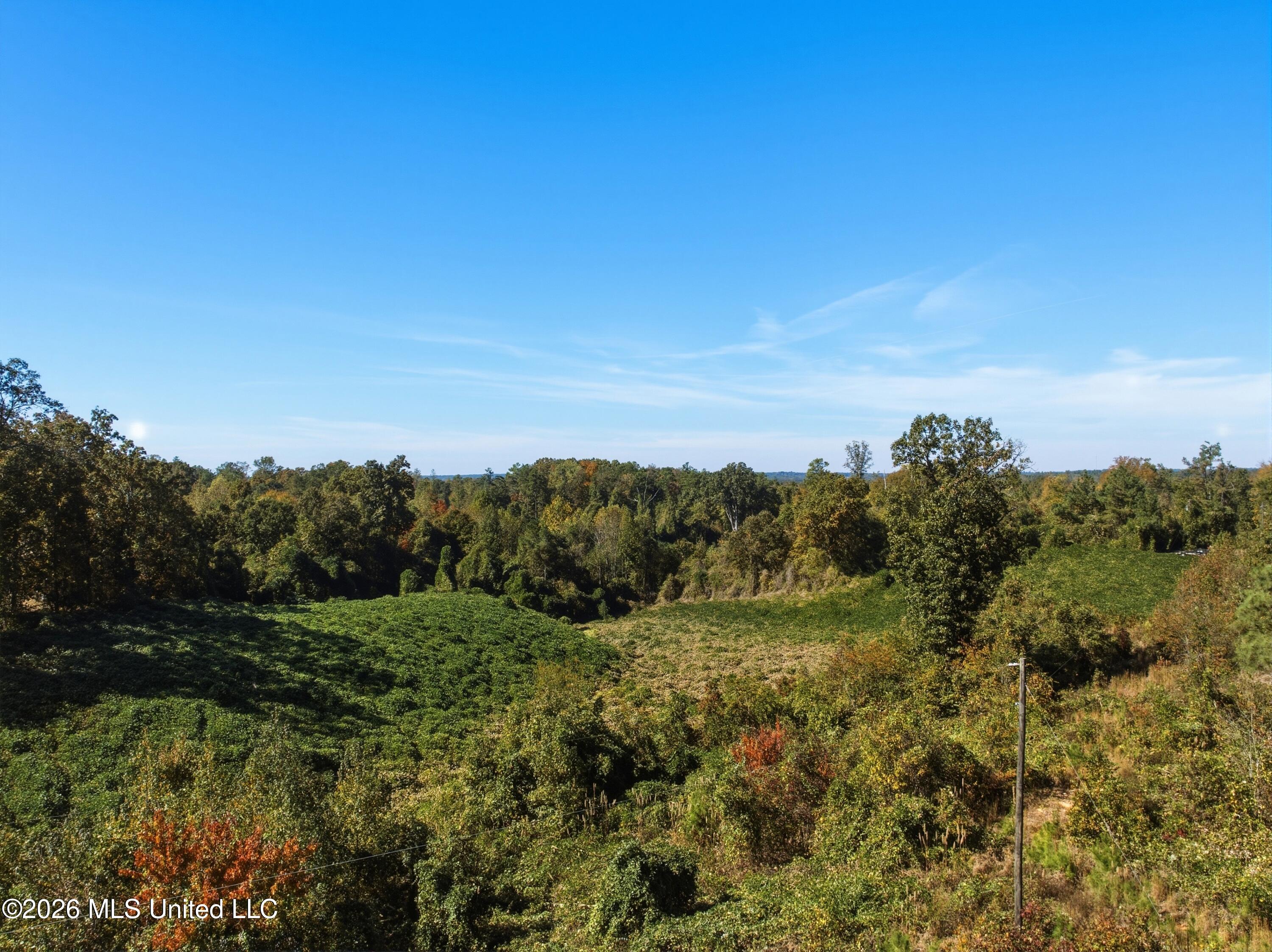 Stinson Road Property Photo 19