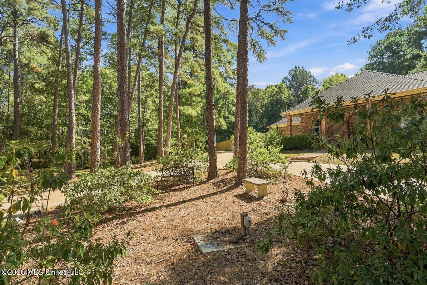 500 Chuck Wagon Drive Property Photo 3
