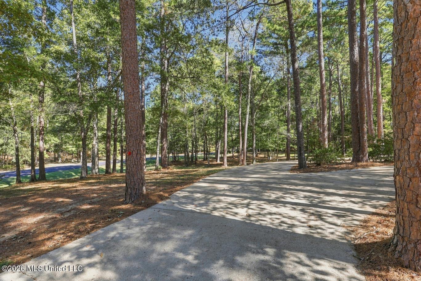 500 Chuck Wagon Drive Property Photo 4