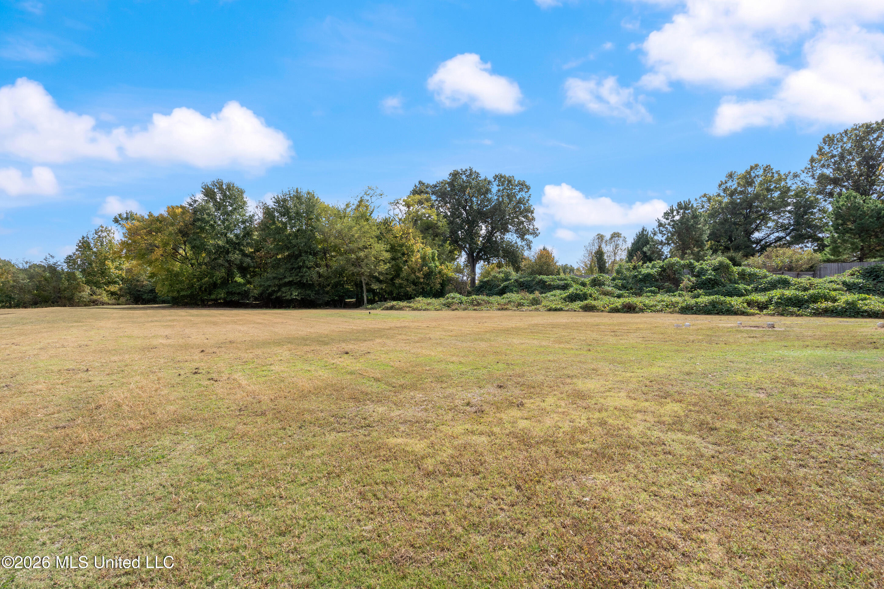 5352 Horn Lake Road Property Photo 32