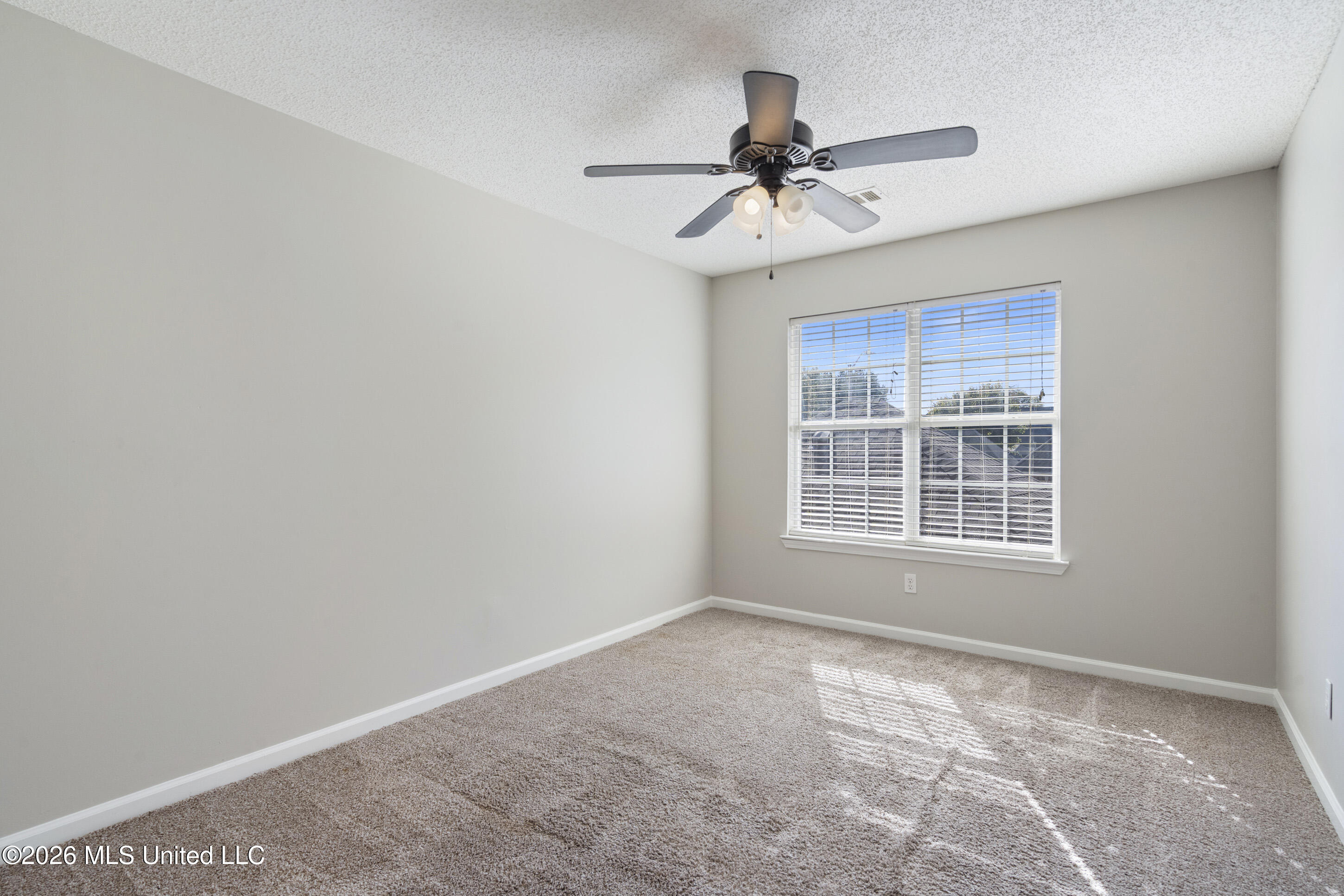 4930 Graham Lake Drive Property Photo 21