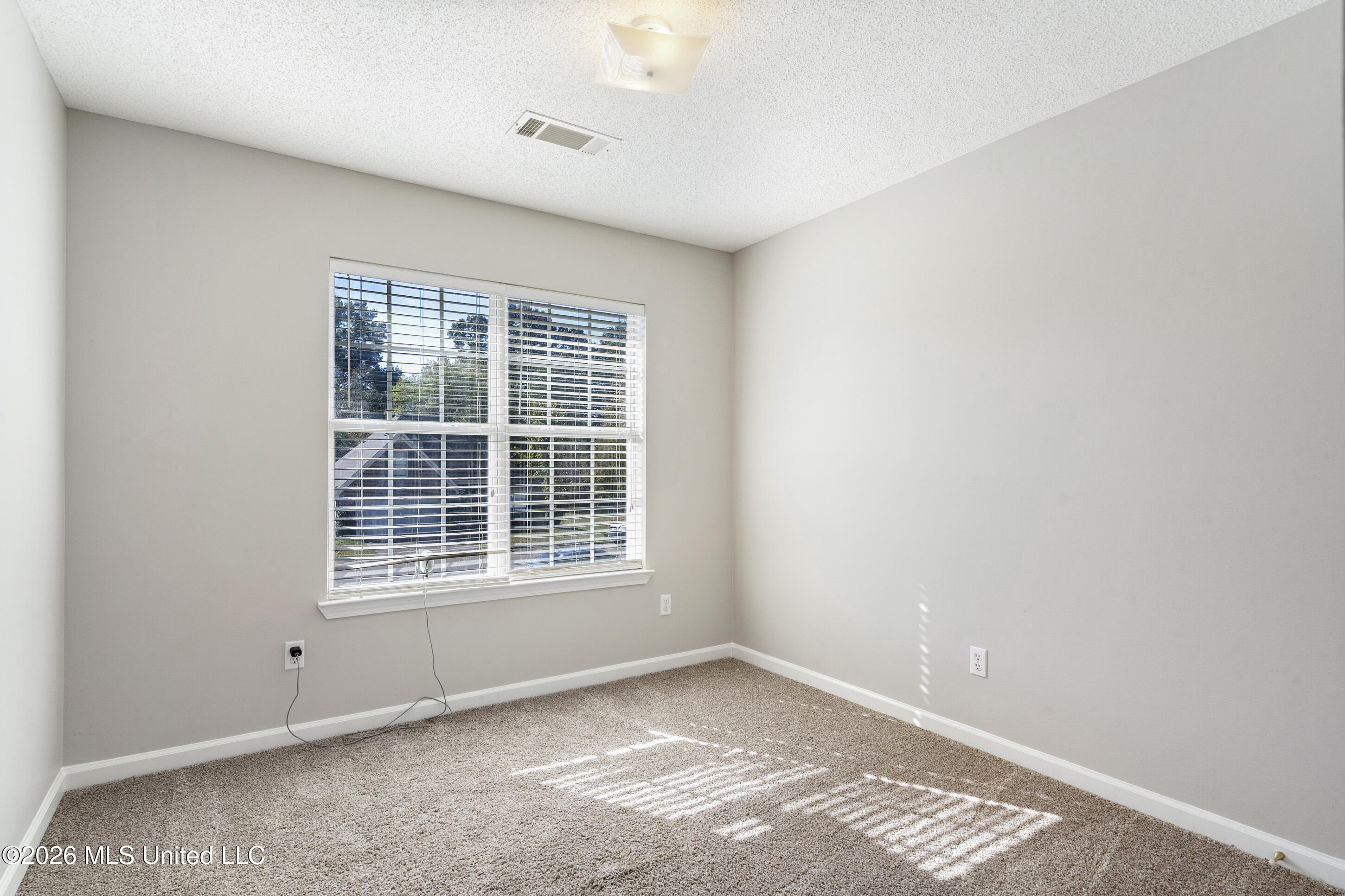4930 Graham Lake Drive Property Photo 23