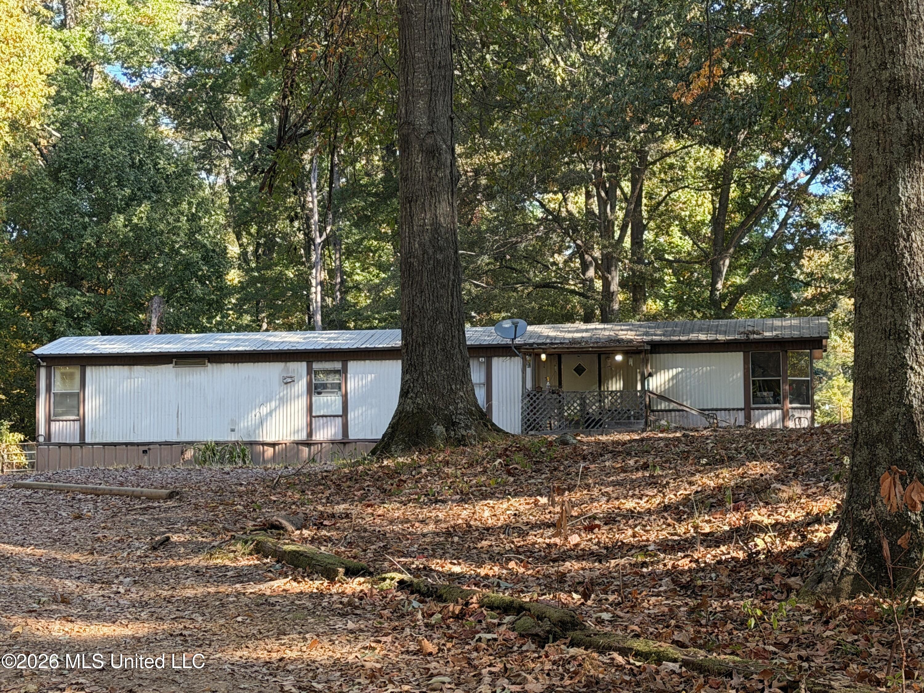 11286 Black Bear Cove Property Photo 1