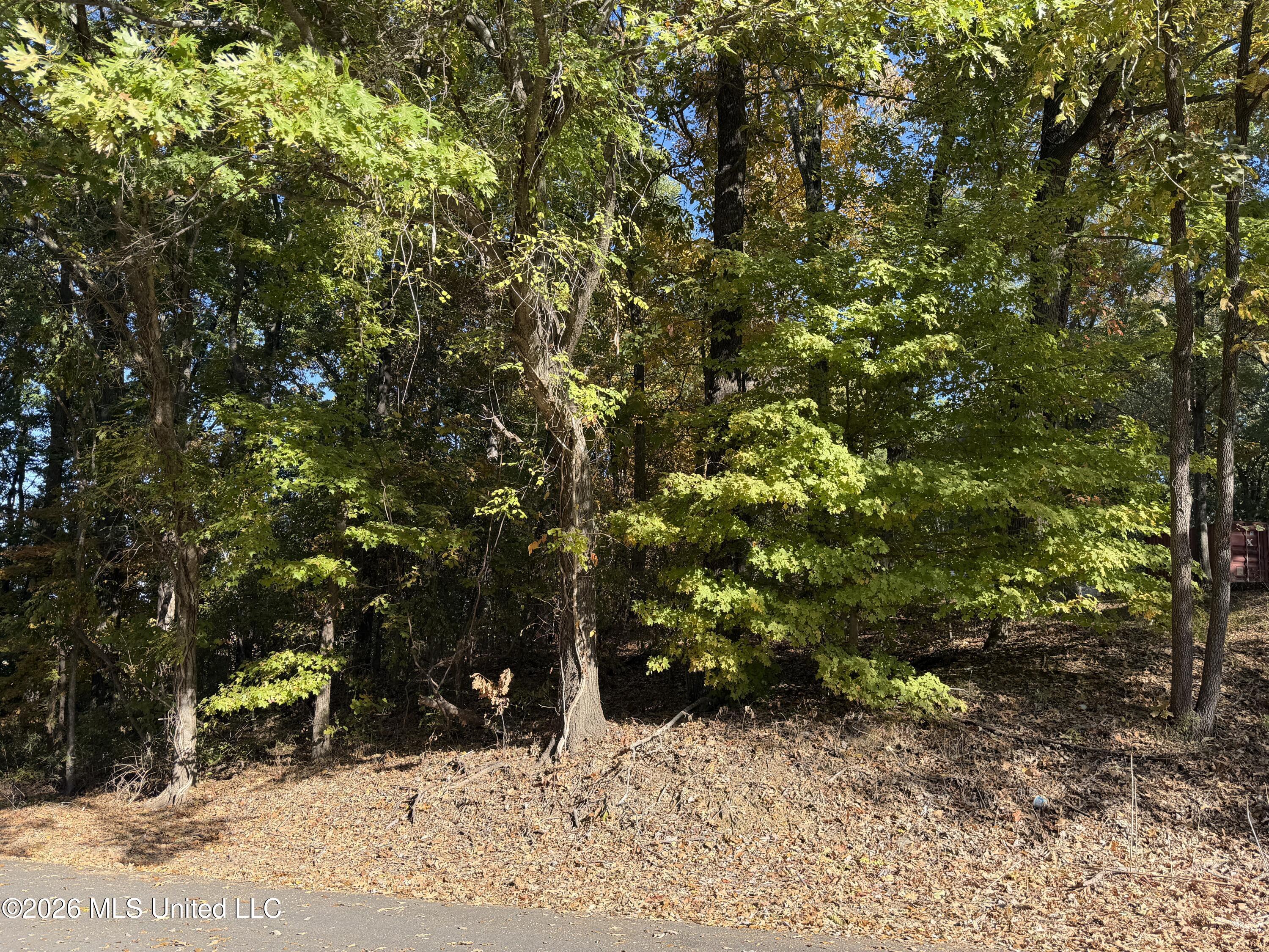 11286 Black Bear Cove Property Photo 4