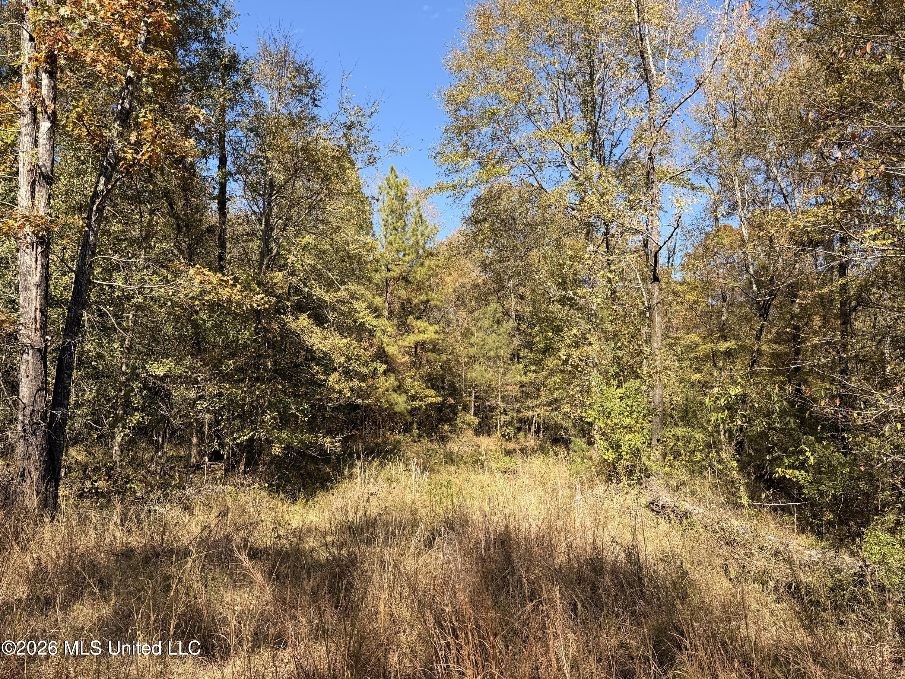 W Hwy 84 Property Photo 12