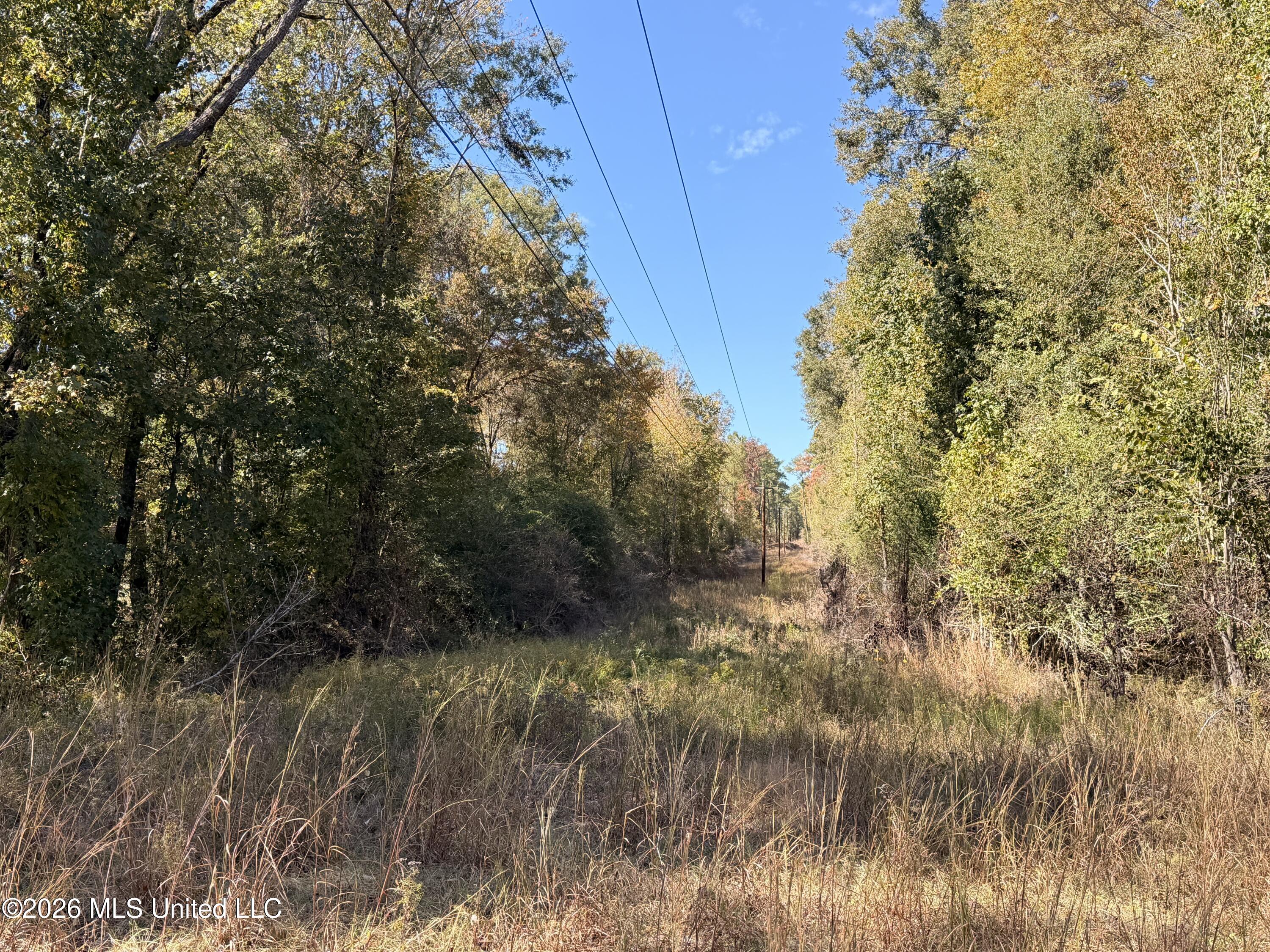 W Hwy 84 Property Photo 13
