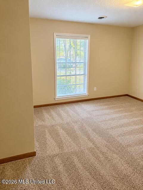 742 W Rasco Road Property Photo 28